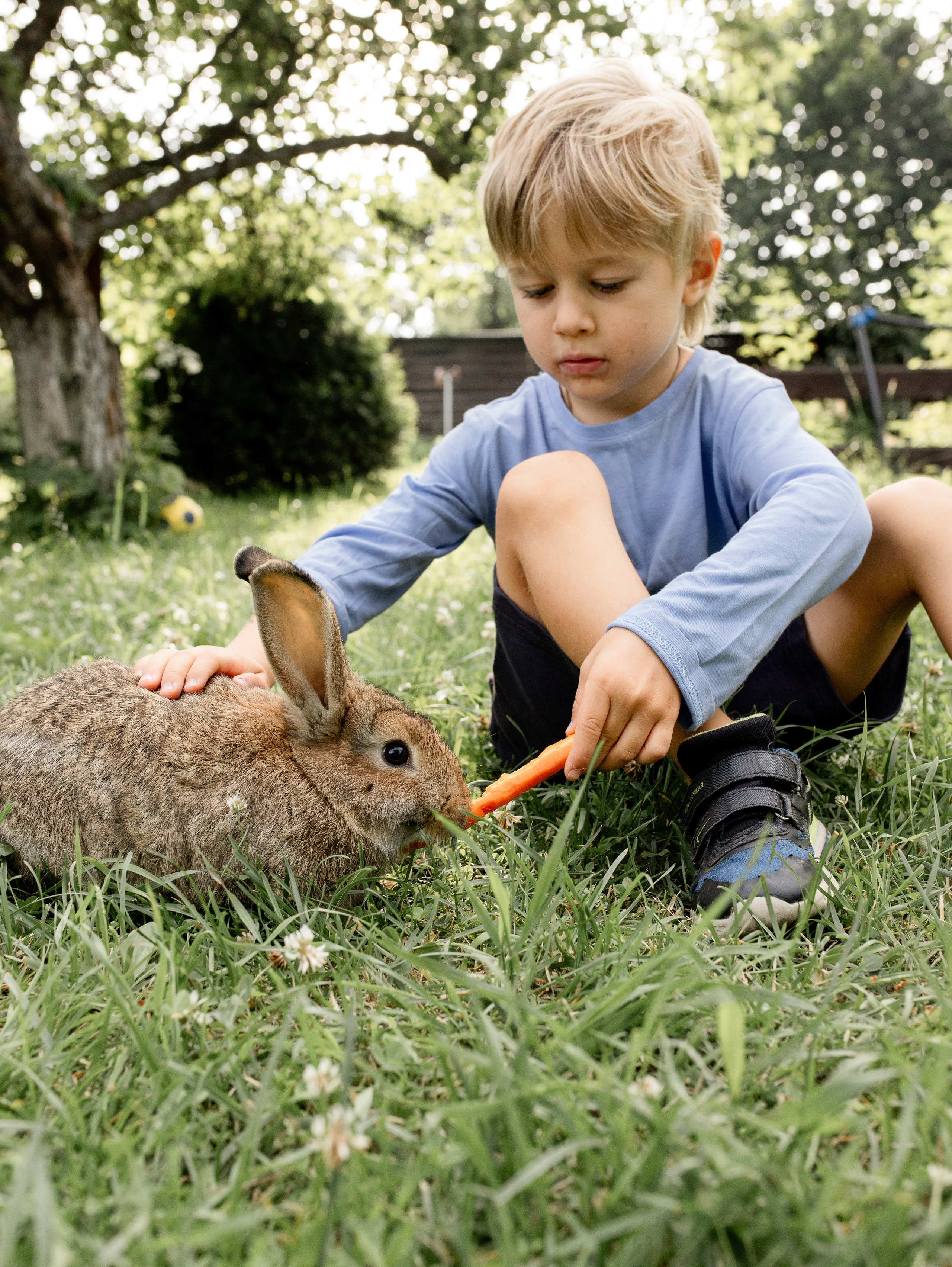 Кролики 2023. Семейный фотограф в Санкт-Петербурге Ирина Иванова