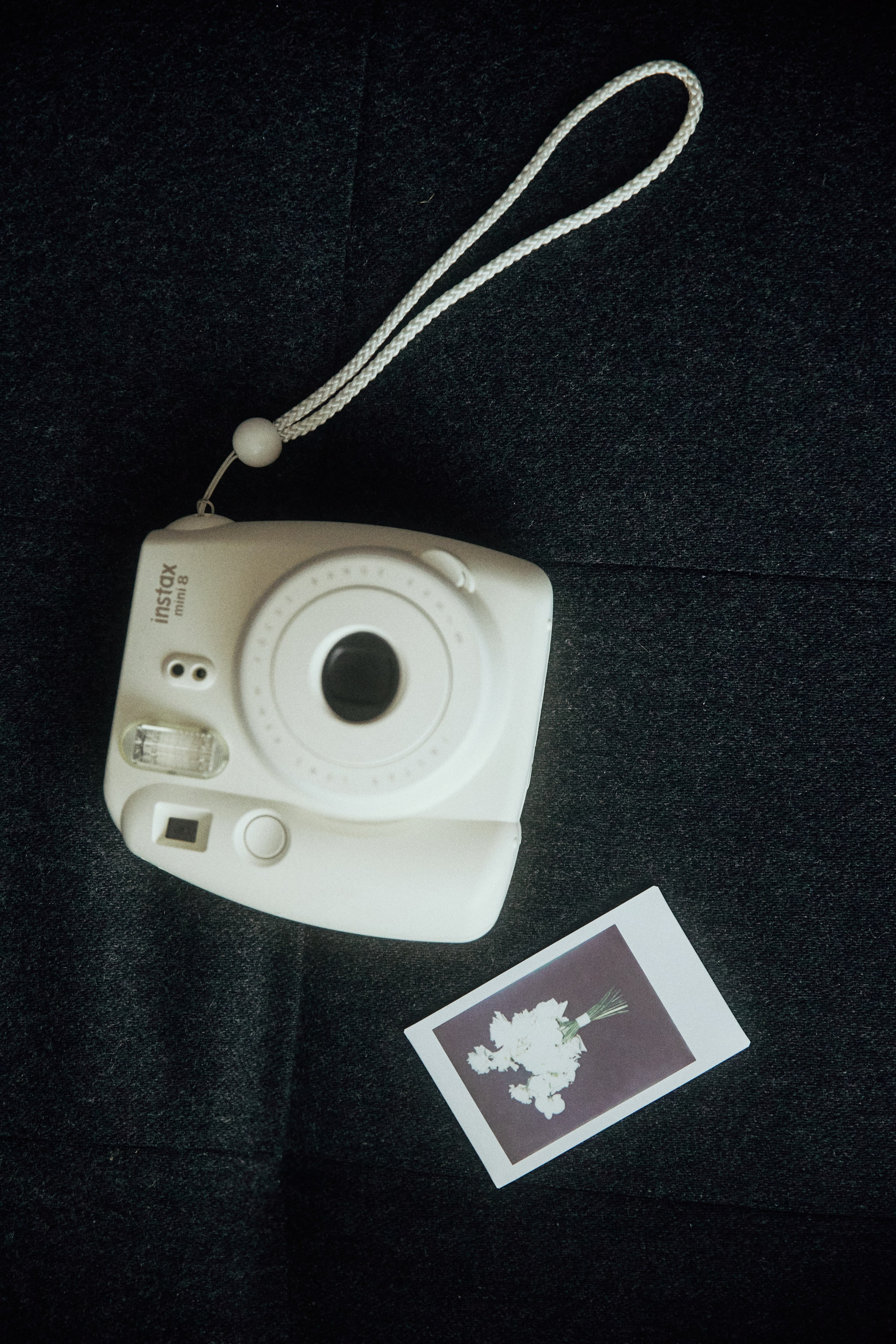 A NEW FAMILY TREE. Дмитрий Мазуркевич: Профессиональный Репортажный Фотограф