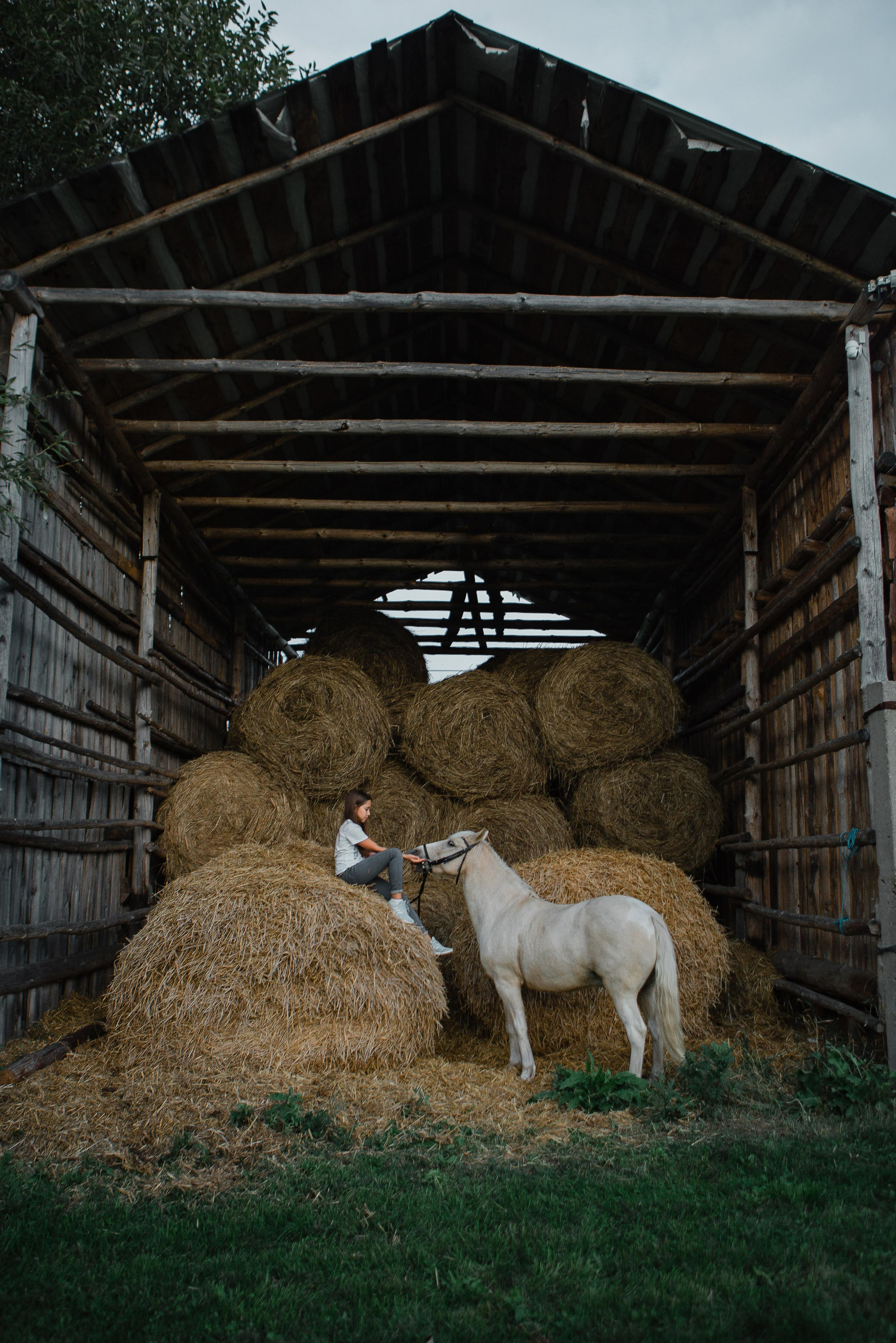 Подарок на 11 -ти летие. Детский авторский портрет. Ваш фотограф Любовь Чистякова