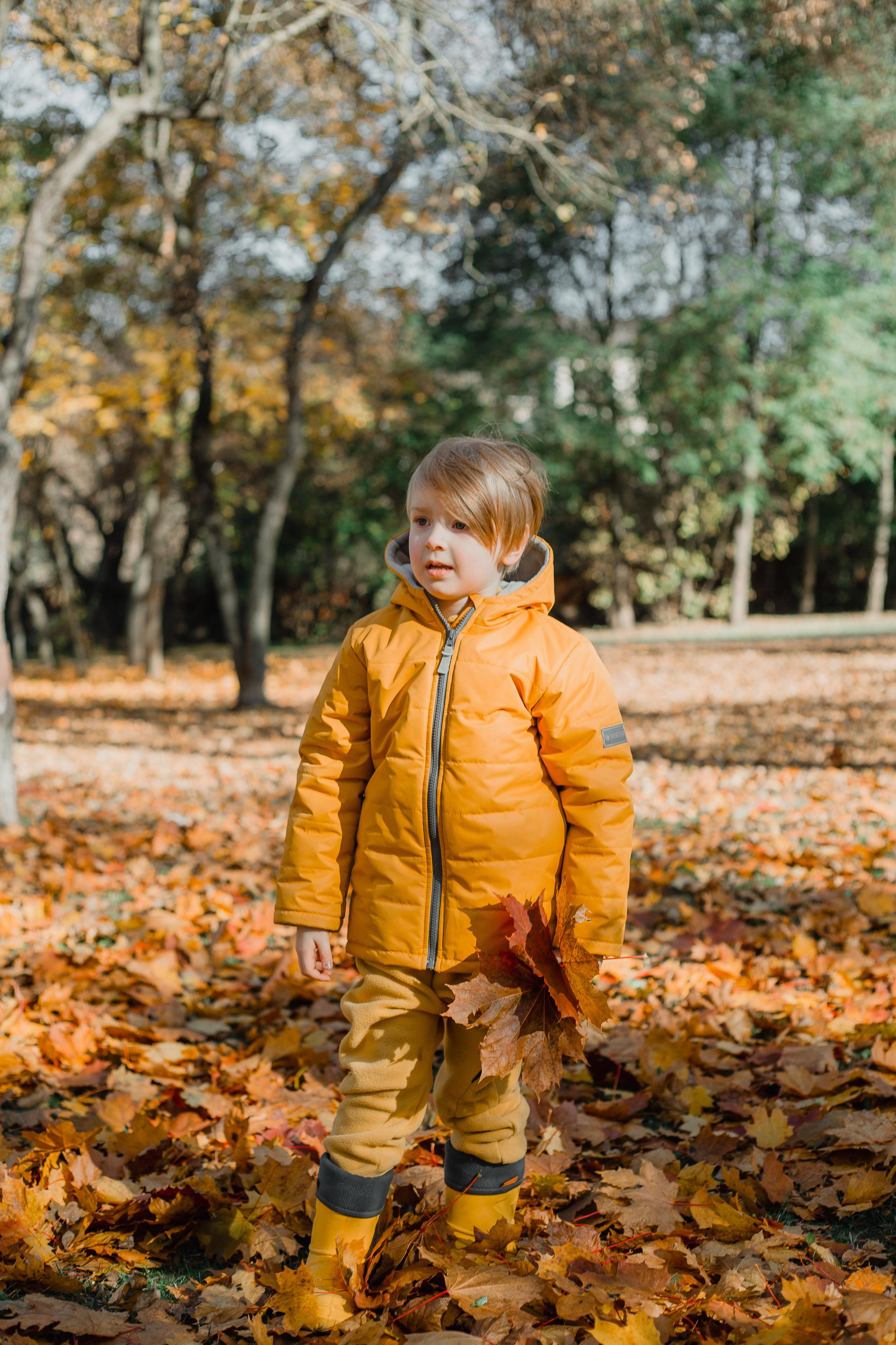 Семейная осеняя прогулка. Ваш фотограф Любовь Чистякова