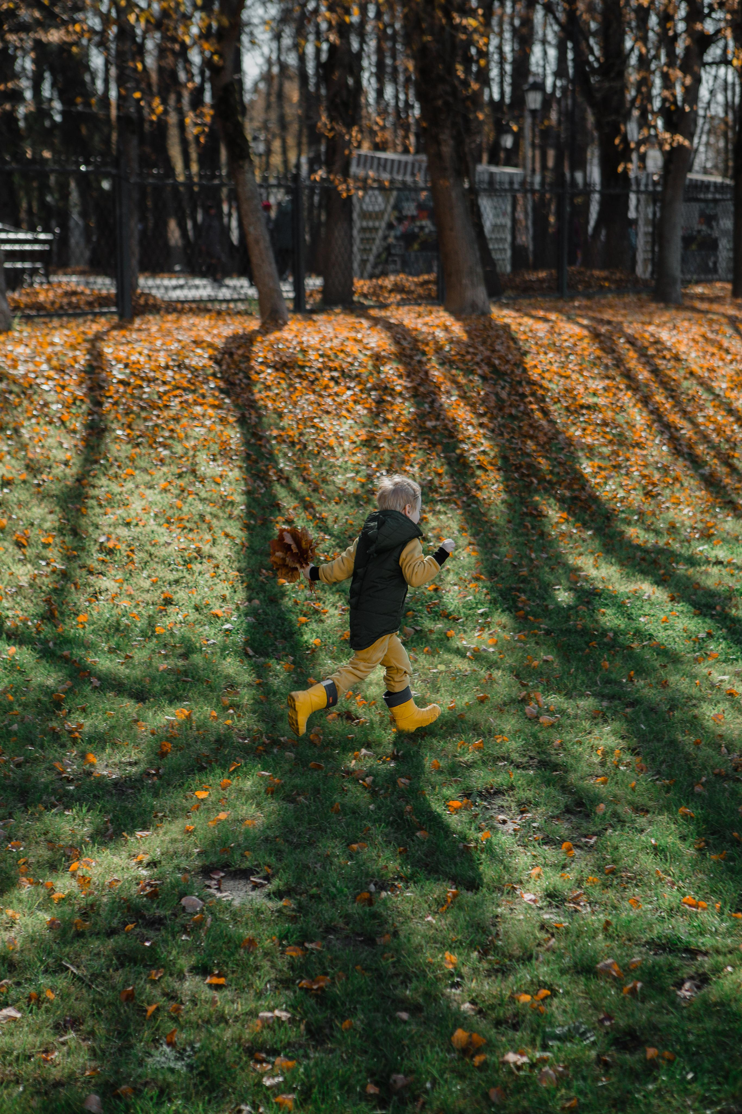 Семейная осеняя прогулка. Ваш фотограф Любовь Чистякова