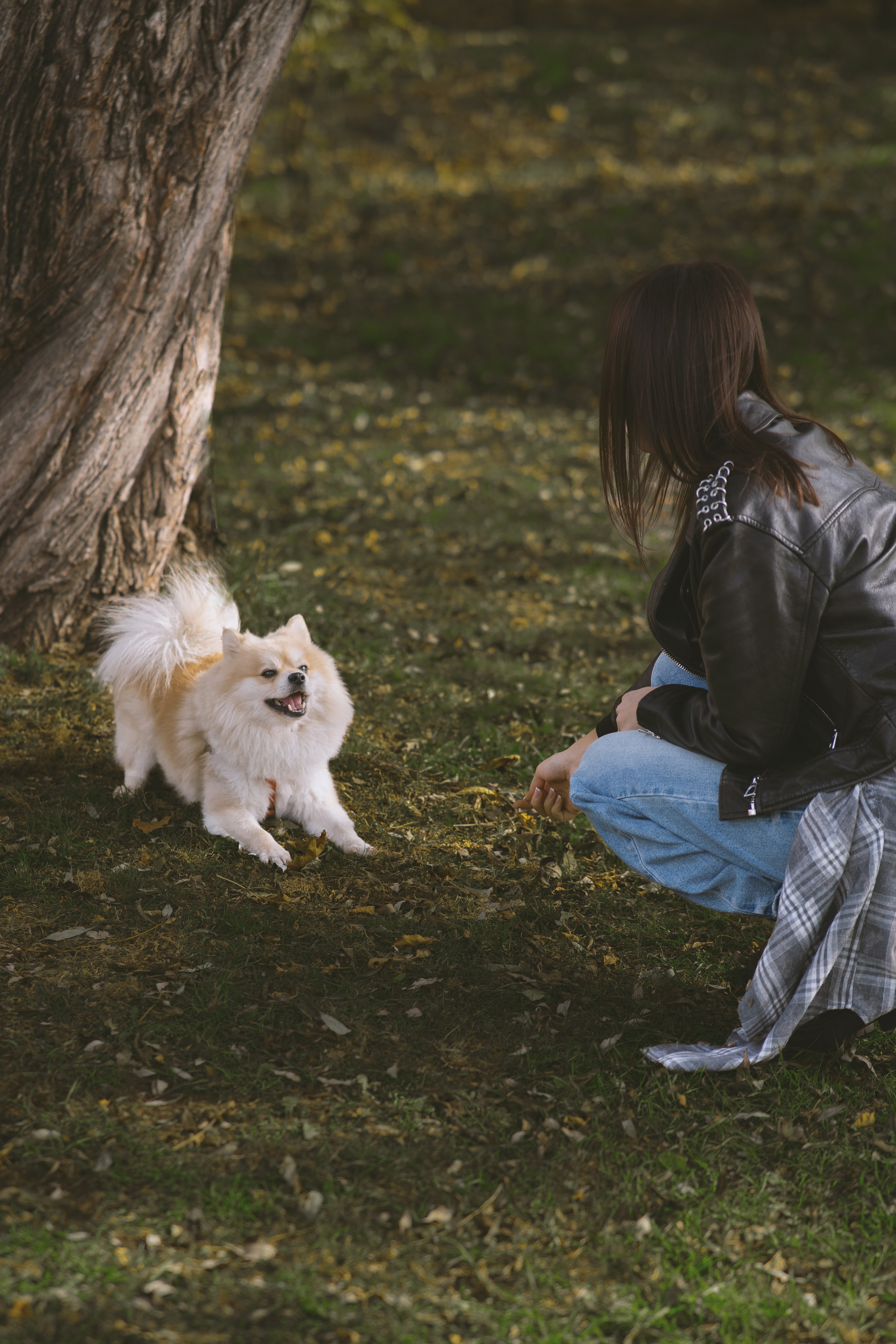 Дарья и ее шпиц Роня. Фотограф в Хабаровске — Виолетта Агафонова