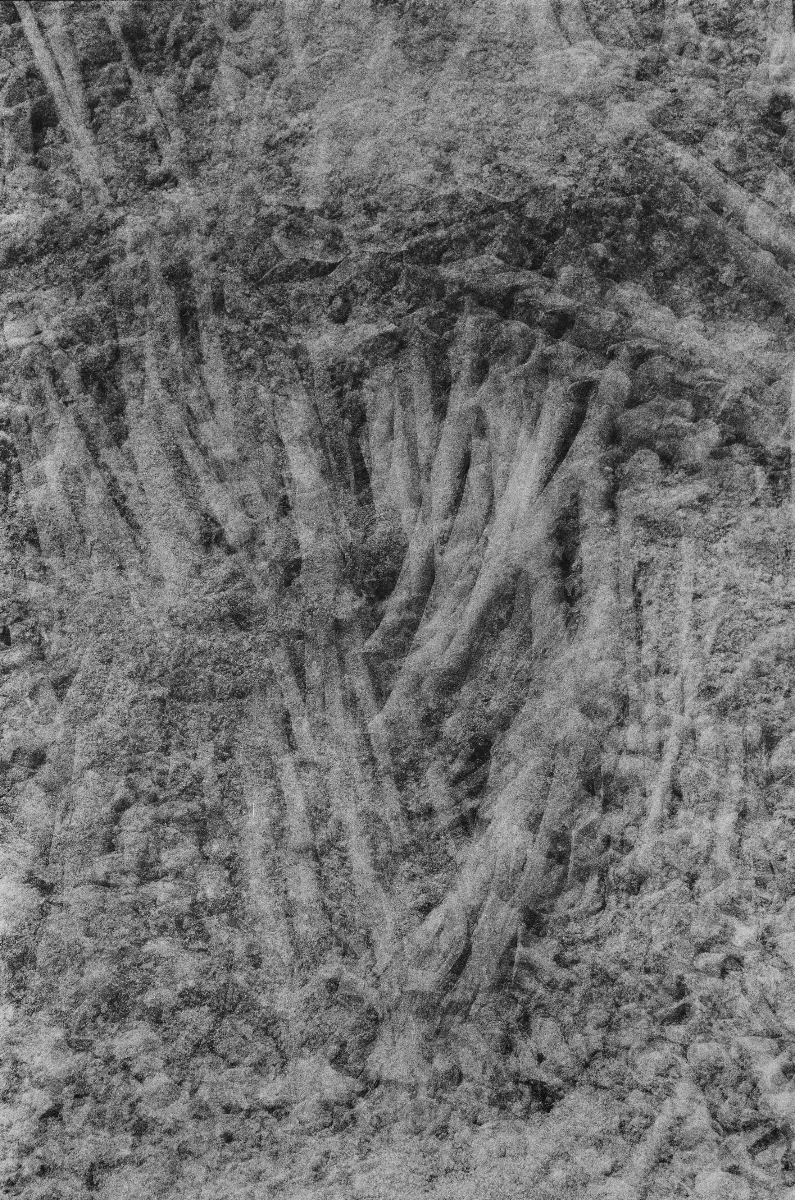 Персональные данные. Фотографии Саши Любина