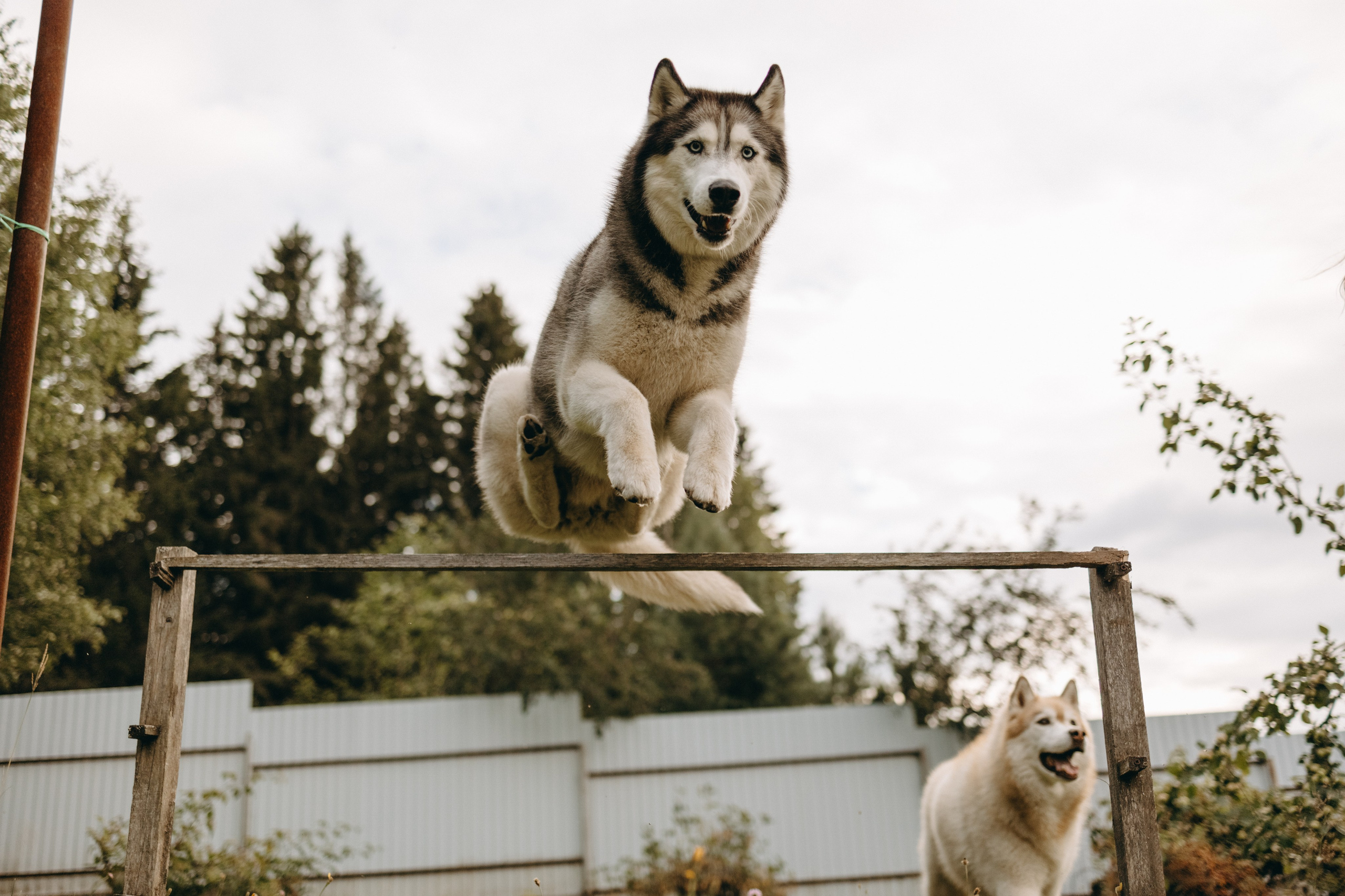 Дом у реки. Фотограф — Анималист | Санкт-Петербург
