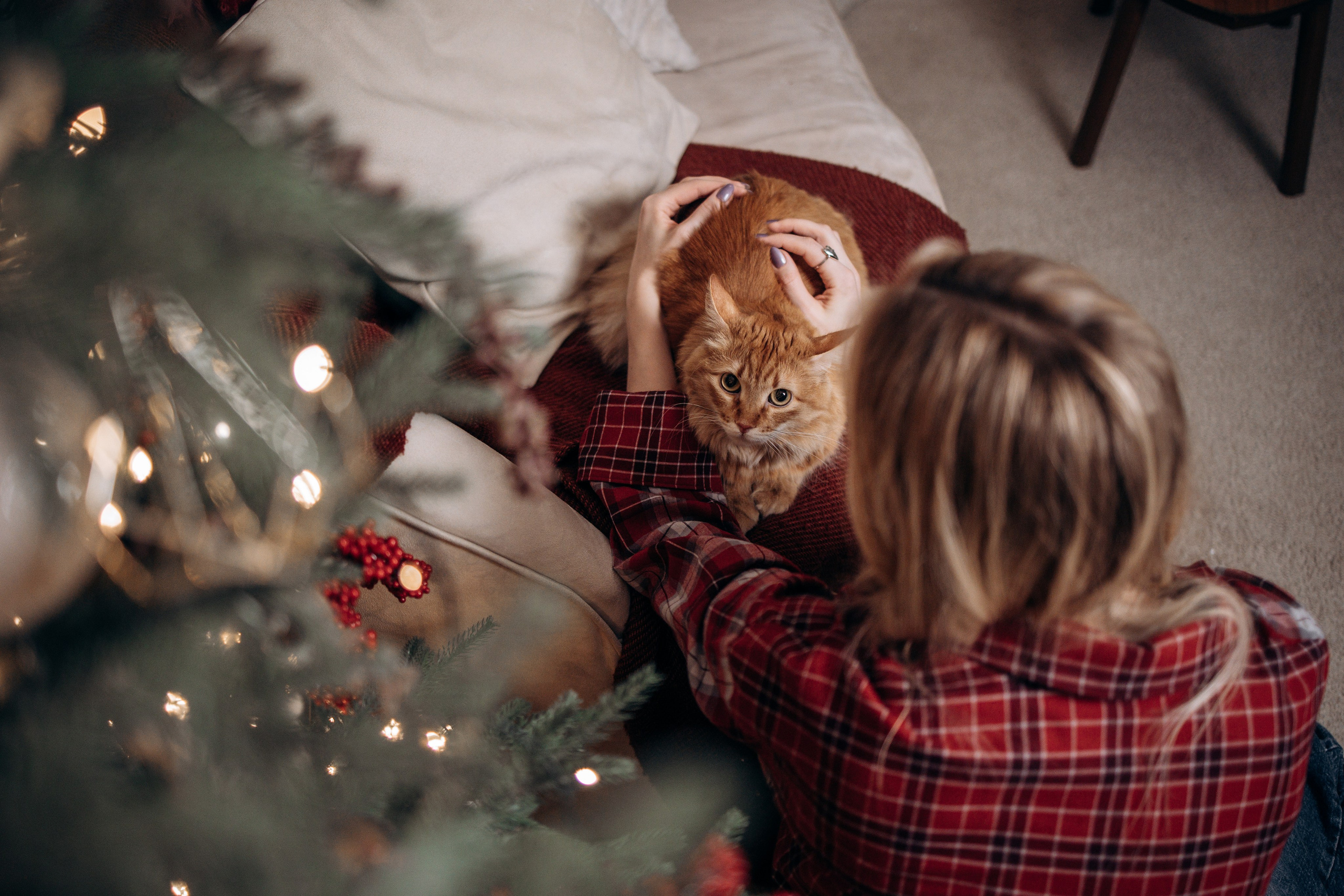 Эля и Франц. Фотограф — Анималист | Санкт-Петербург