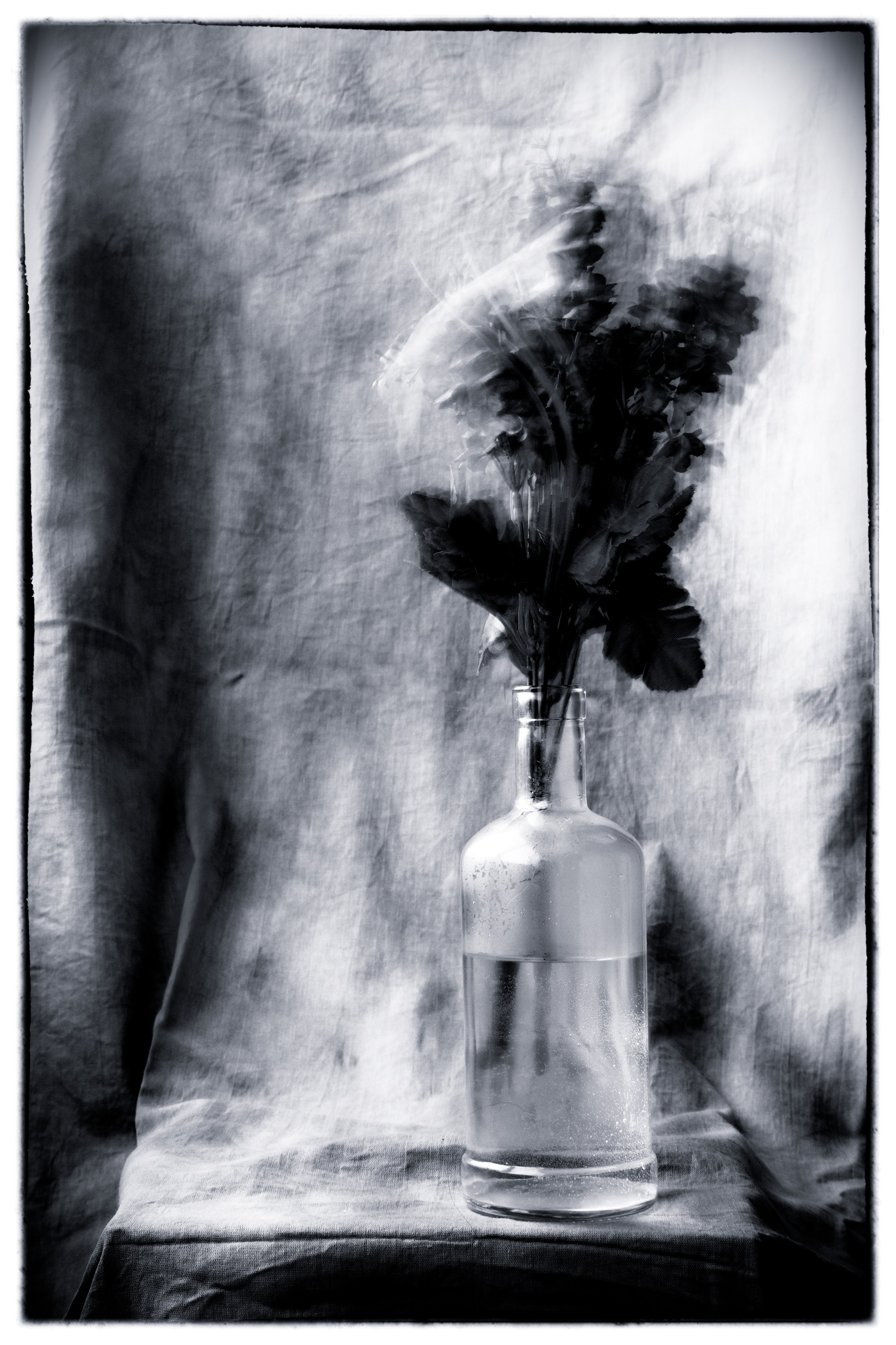 Избранное. Фотограф в Москве, в Самаре Инна Мамонова