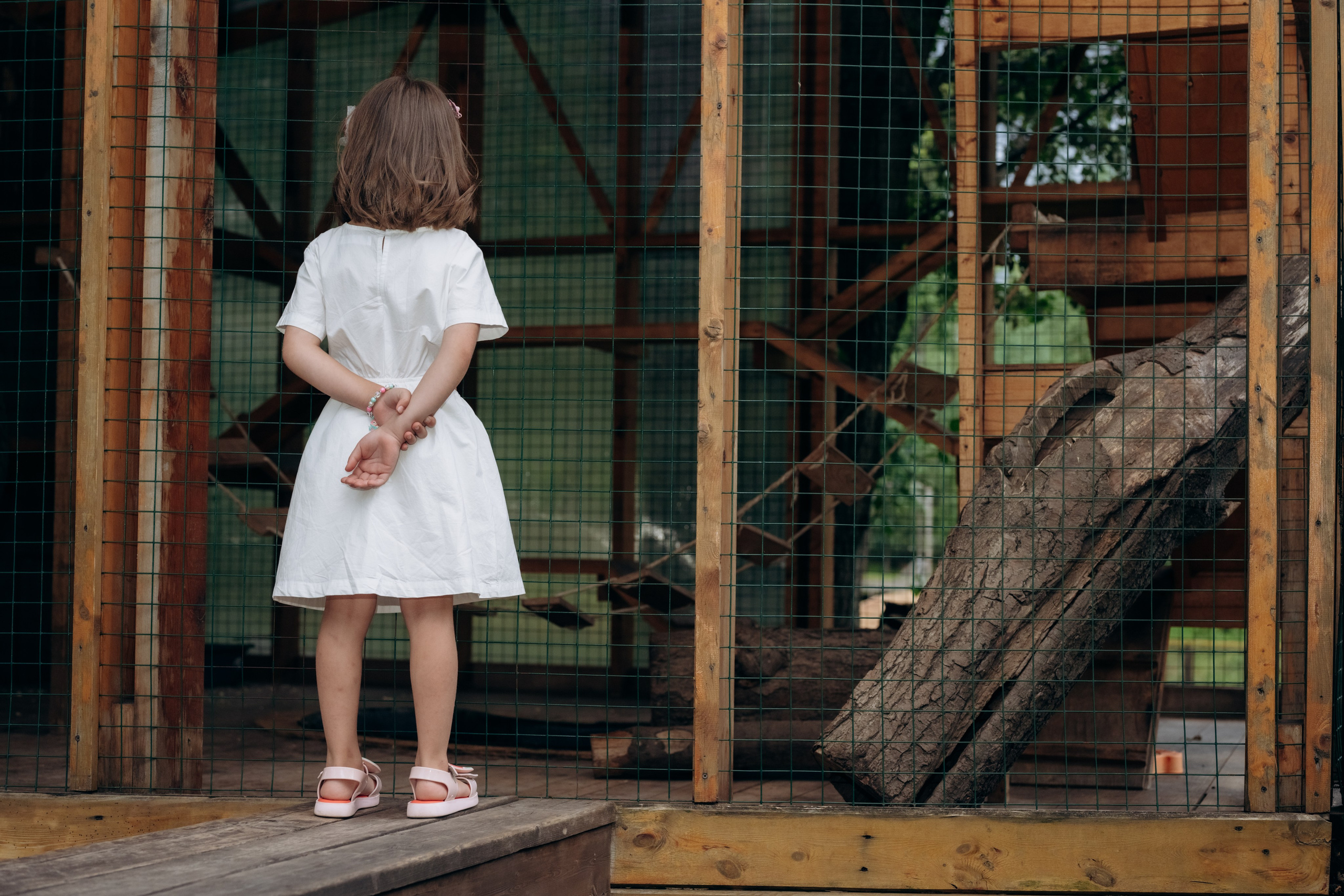 Есения 5 лет. Семейный фотограф и анималист в Москве и Московской области