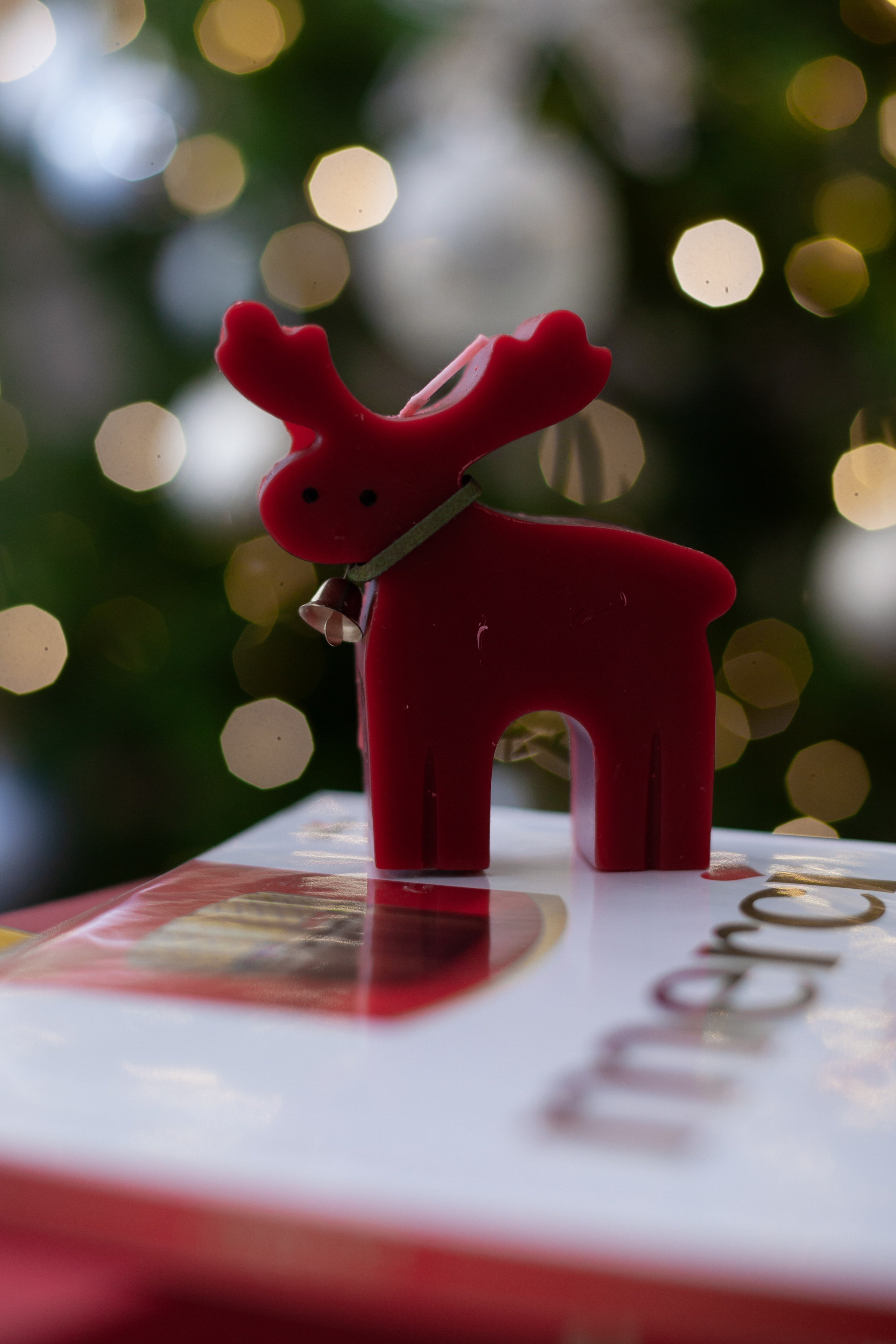 Домашняя. Фотограф в Томске Евгения Гуляева