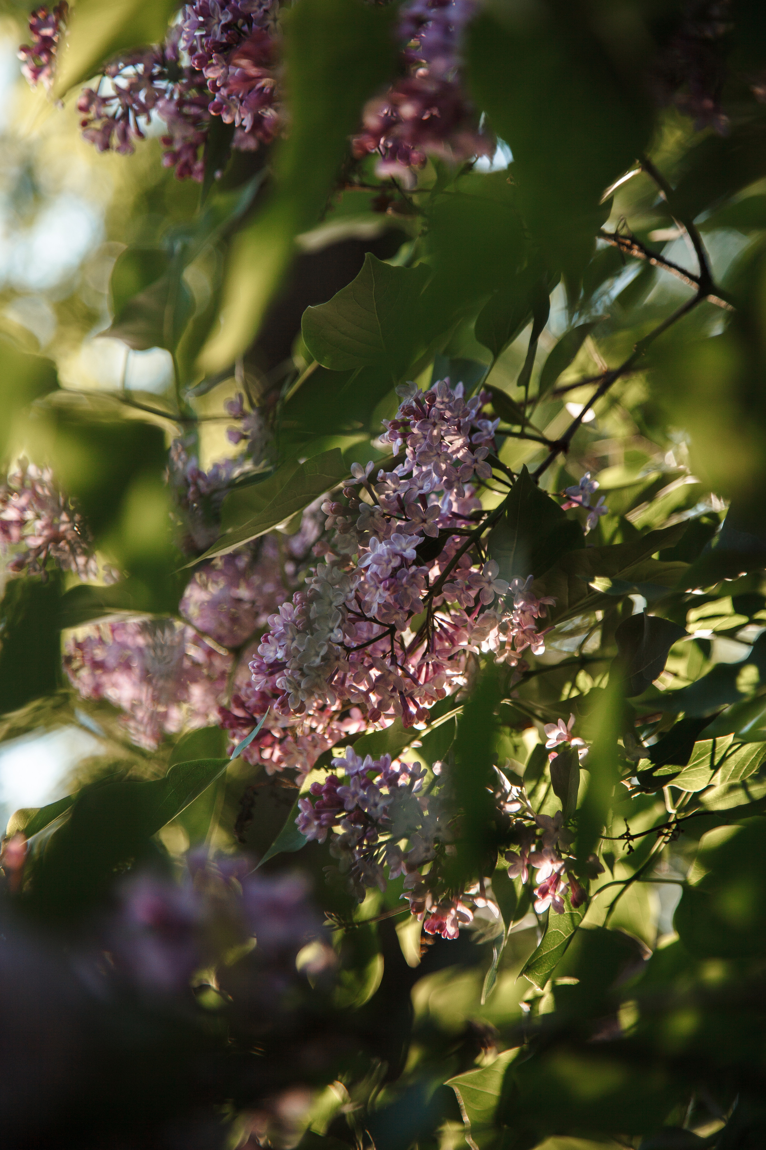 Контент — съемка для кондитера. Честные истории о жизни города и его людях