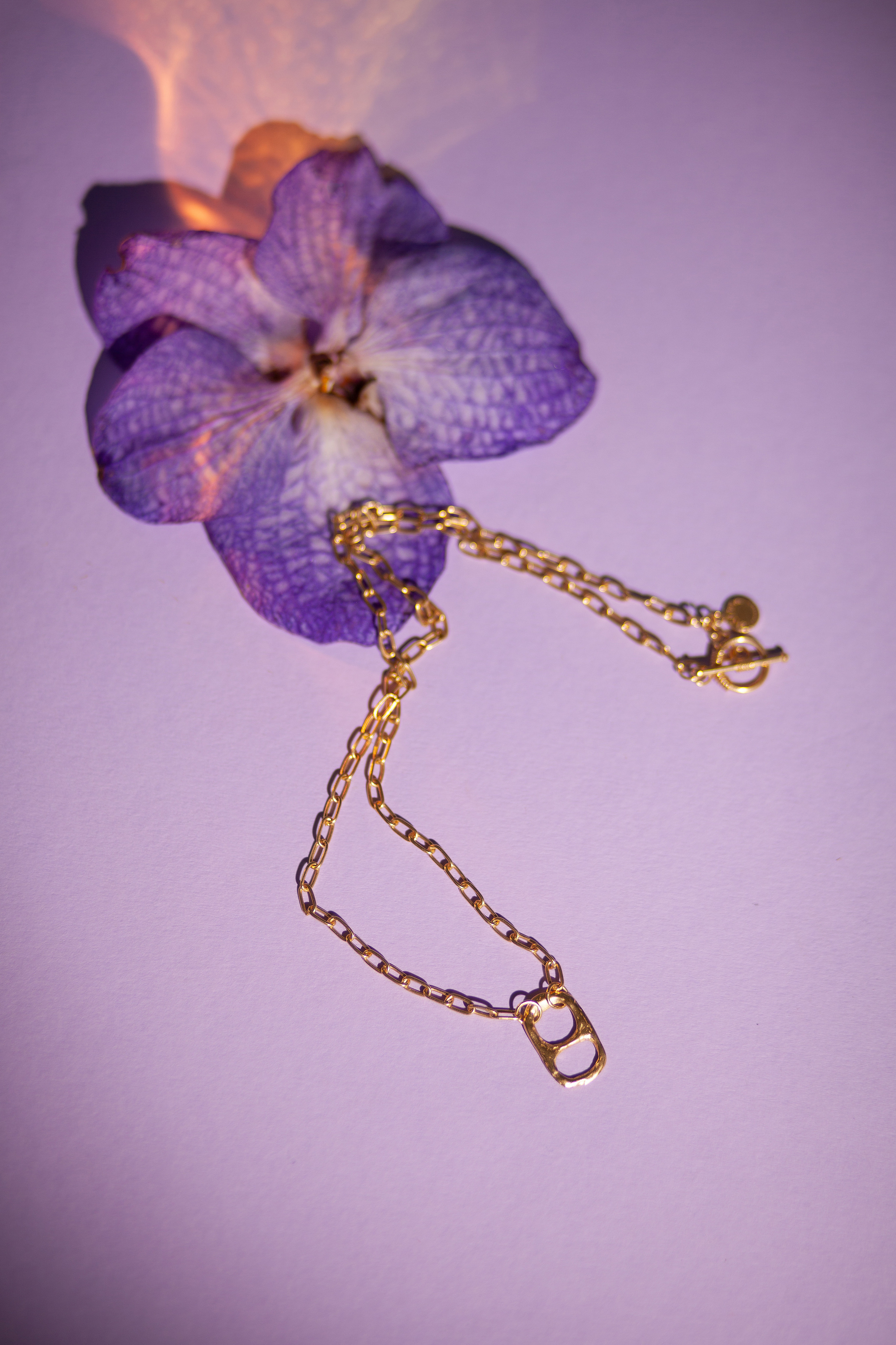 Предметная съёмка ювелирных украшений Molina. Честные истории о жизни города и его людях