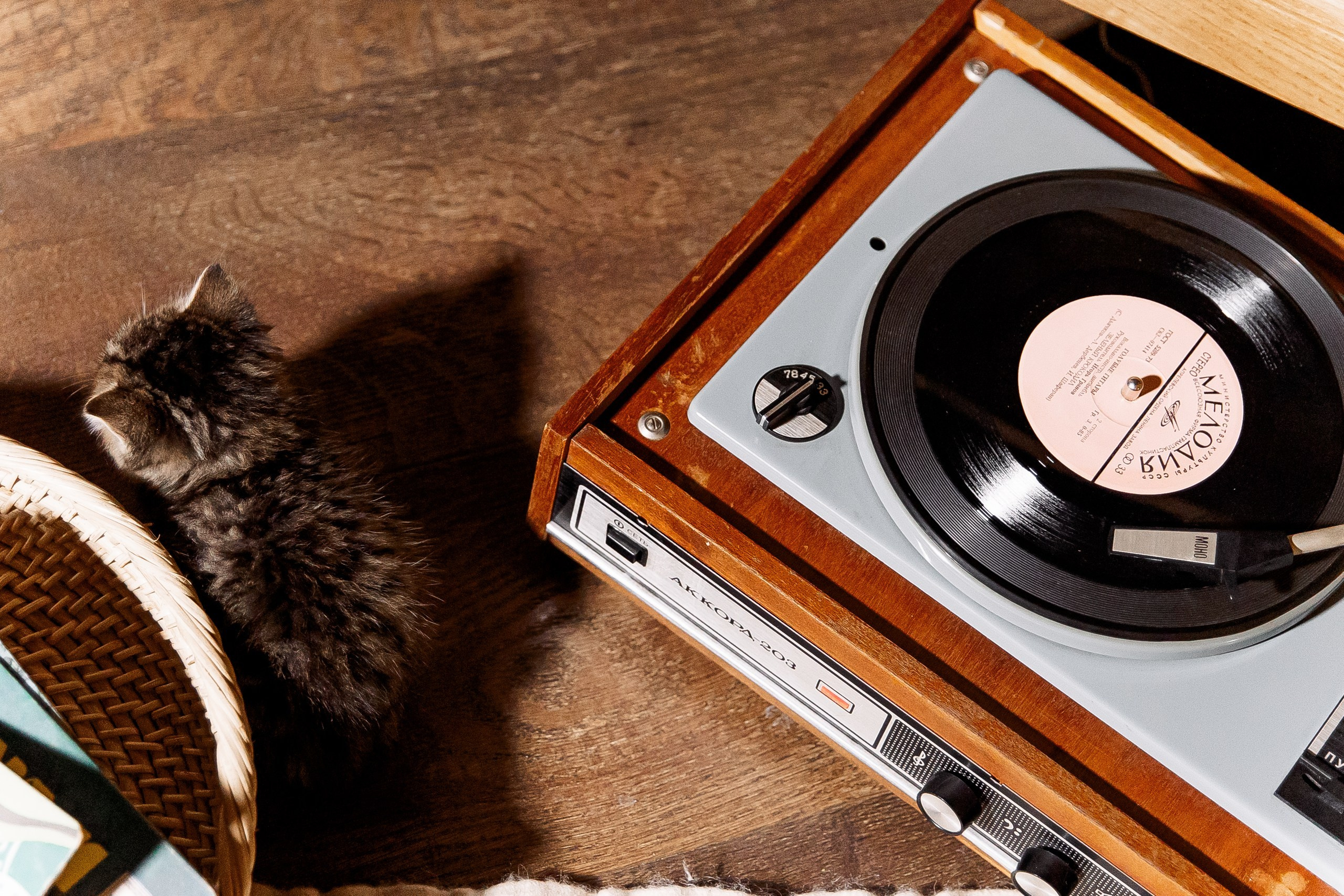 Эдуард и Дарья с сыновьями. Свадебный и семейный фотограф в Челябинске Юлия Ишимова