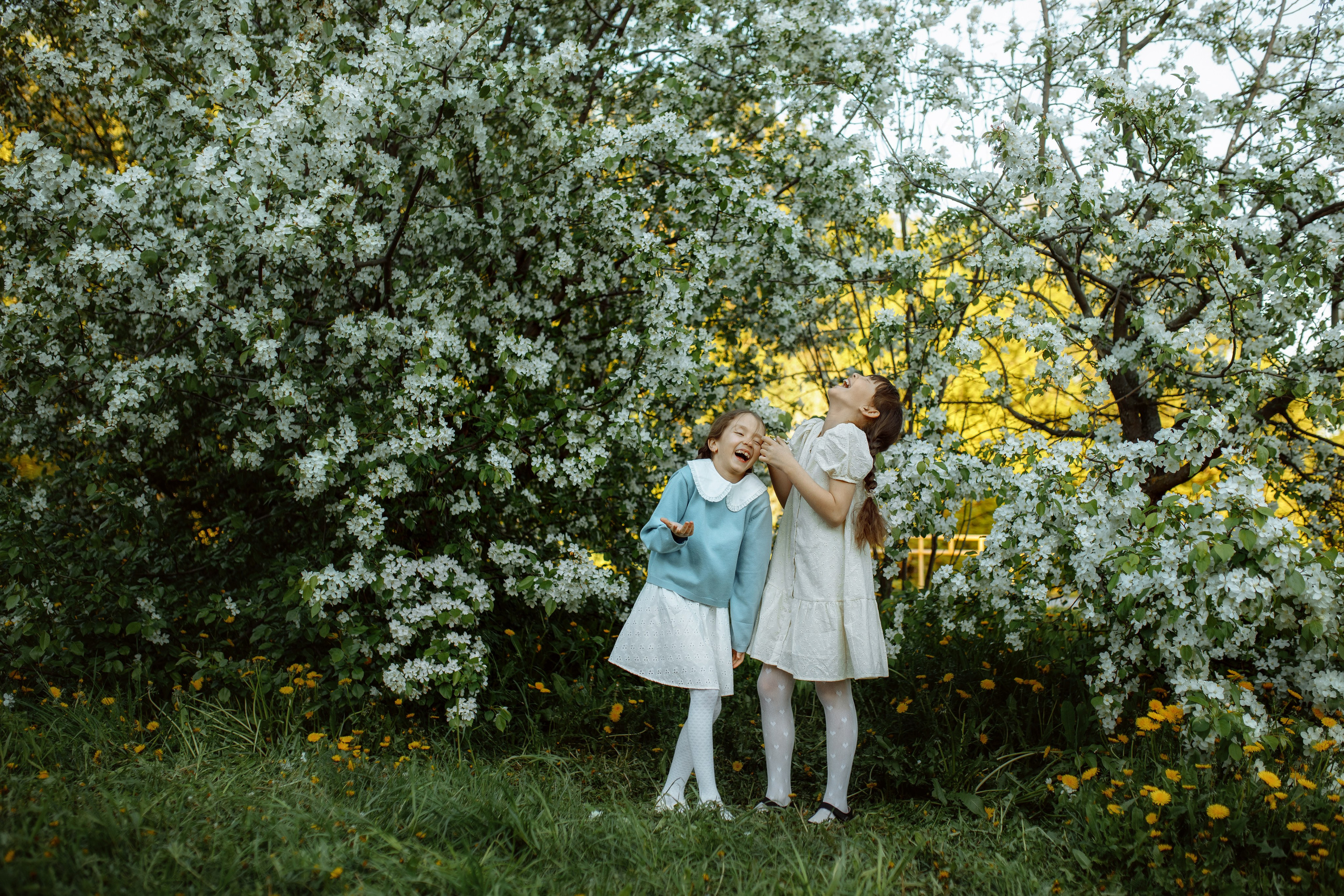 Цветение. Детский и семейный фотограф г. Чебоксары Оля Горбунова
