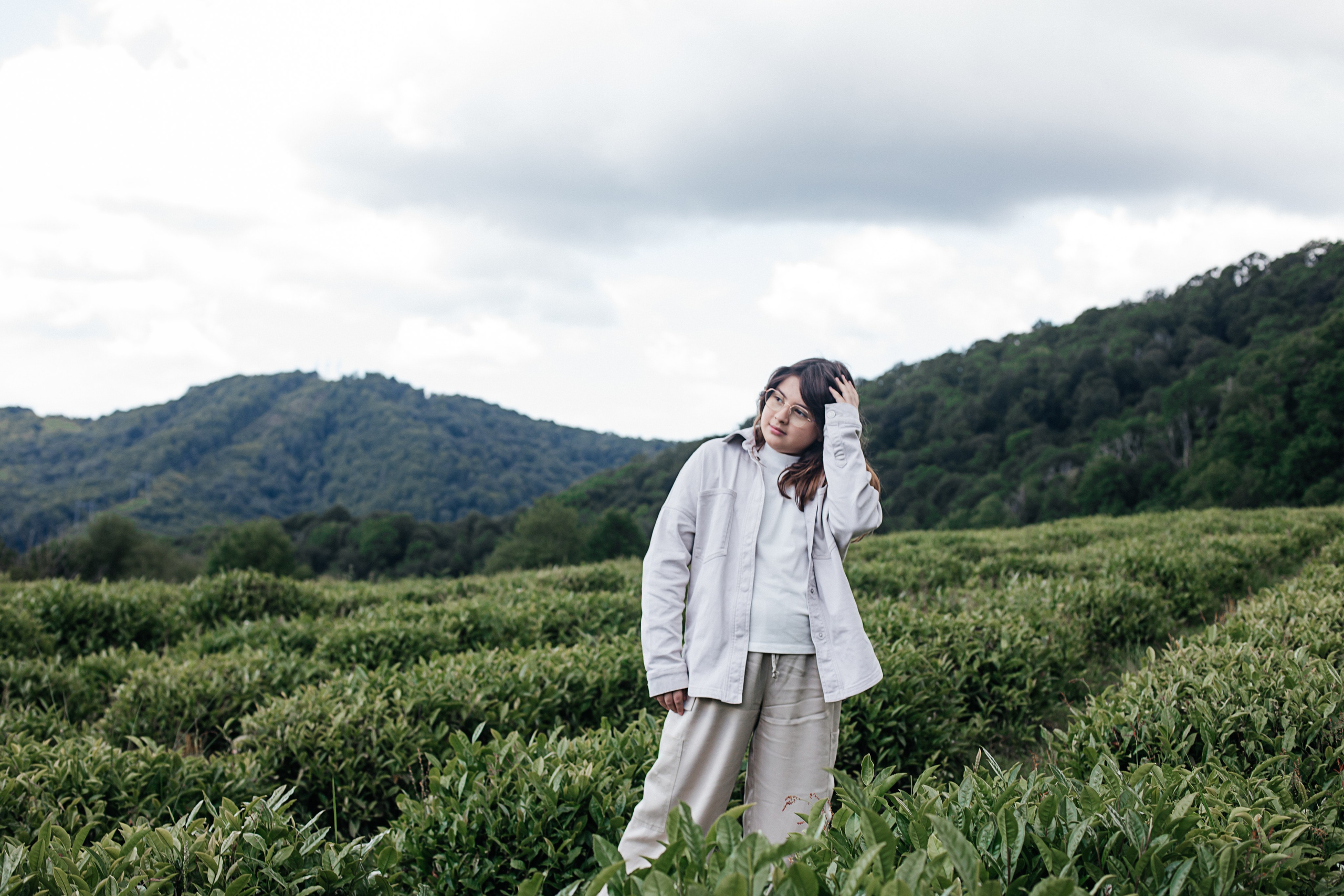 Tea plantation. Efimova Model Agency
