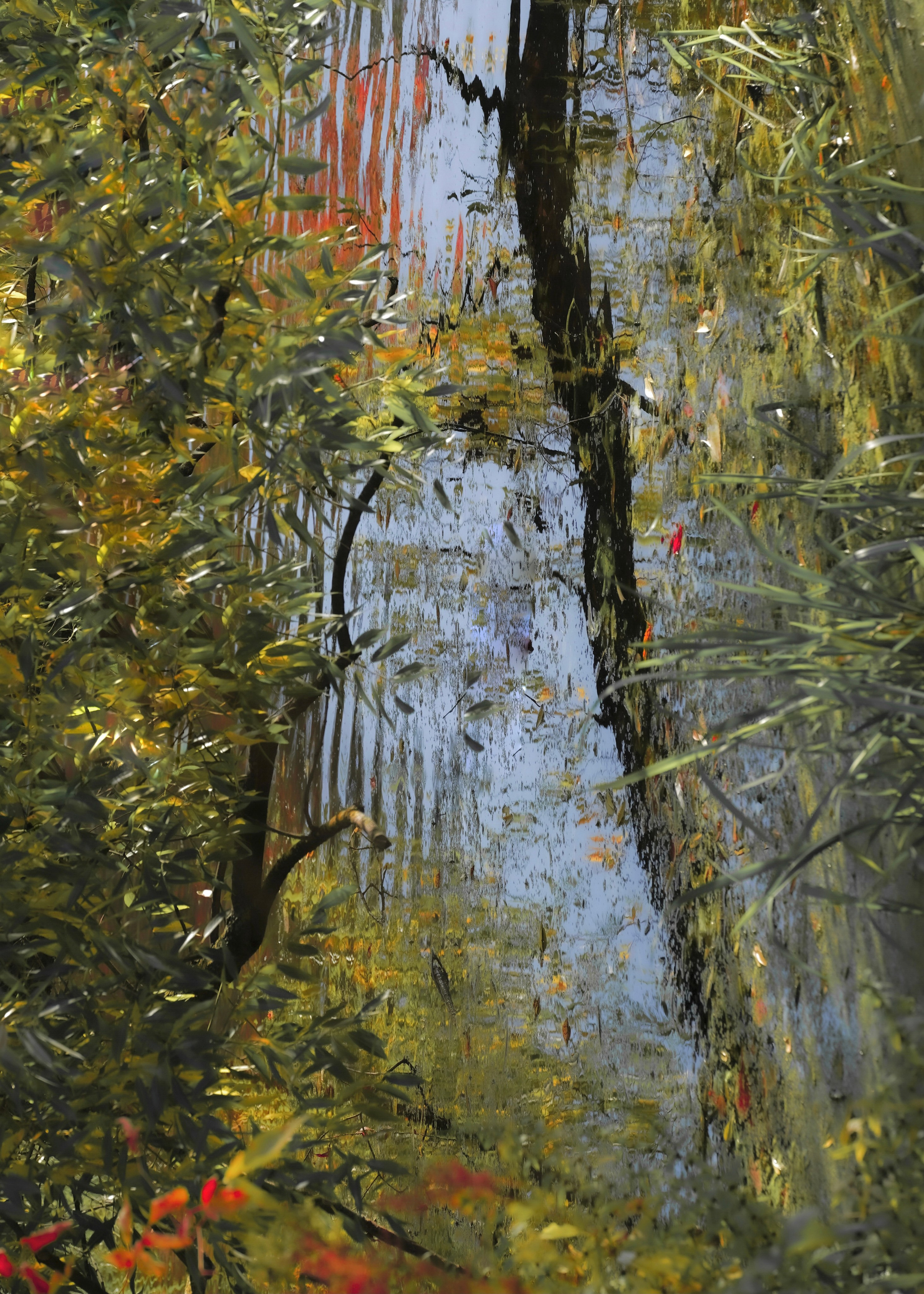 Заметки. Колесникова Мария Арт-фотограф