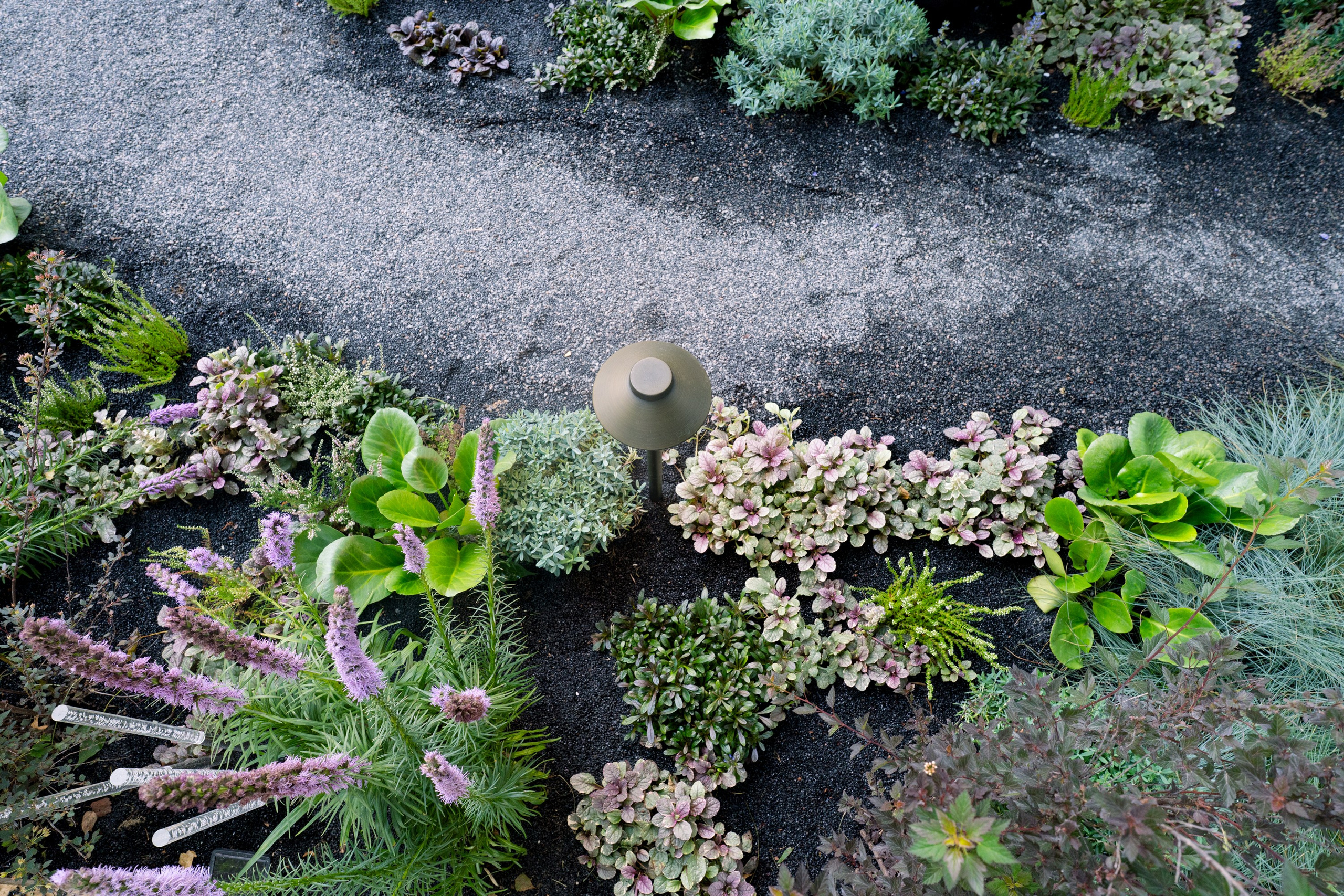 Сад Плеяд. Студия ландшафтного дизайна в Москве. Love My Garden