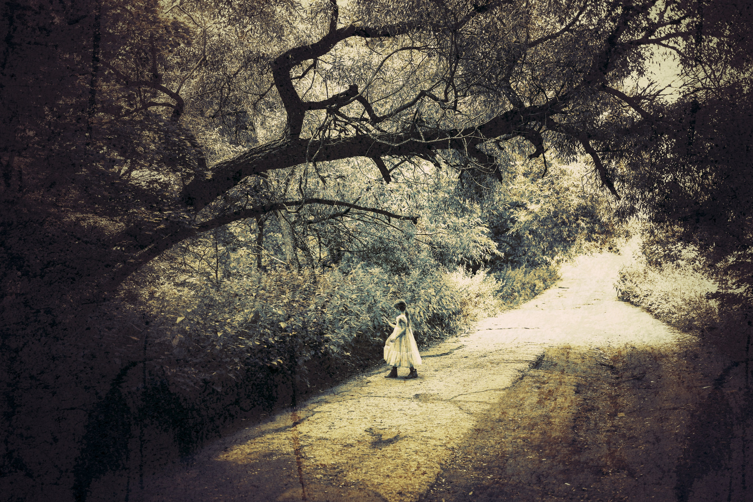 Девочка в дремучем лесу