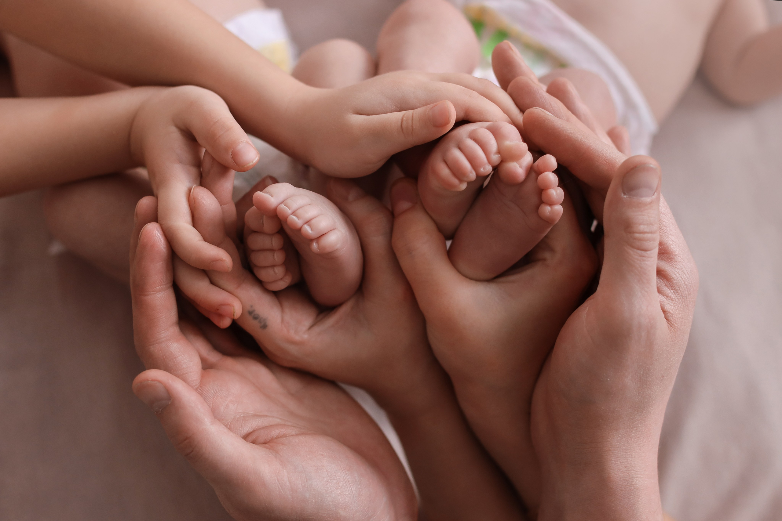 Артем и Дмитрий 1 месяц 1 день. Семейный фотограф и фотограф новорожденных в Санкт-Петербурге Алина Фе