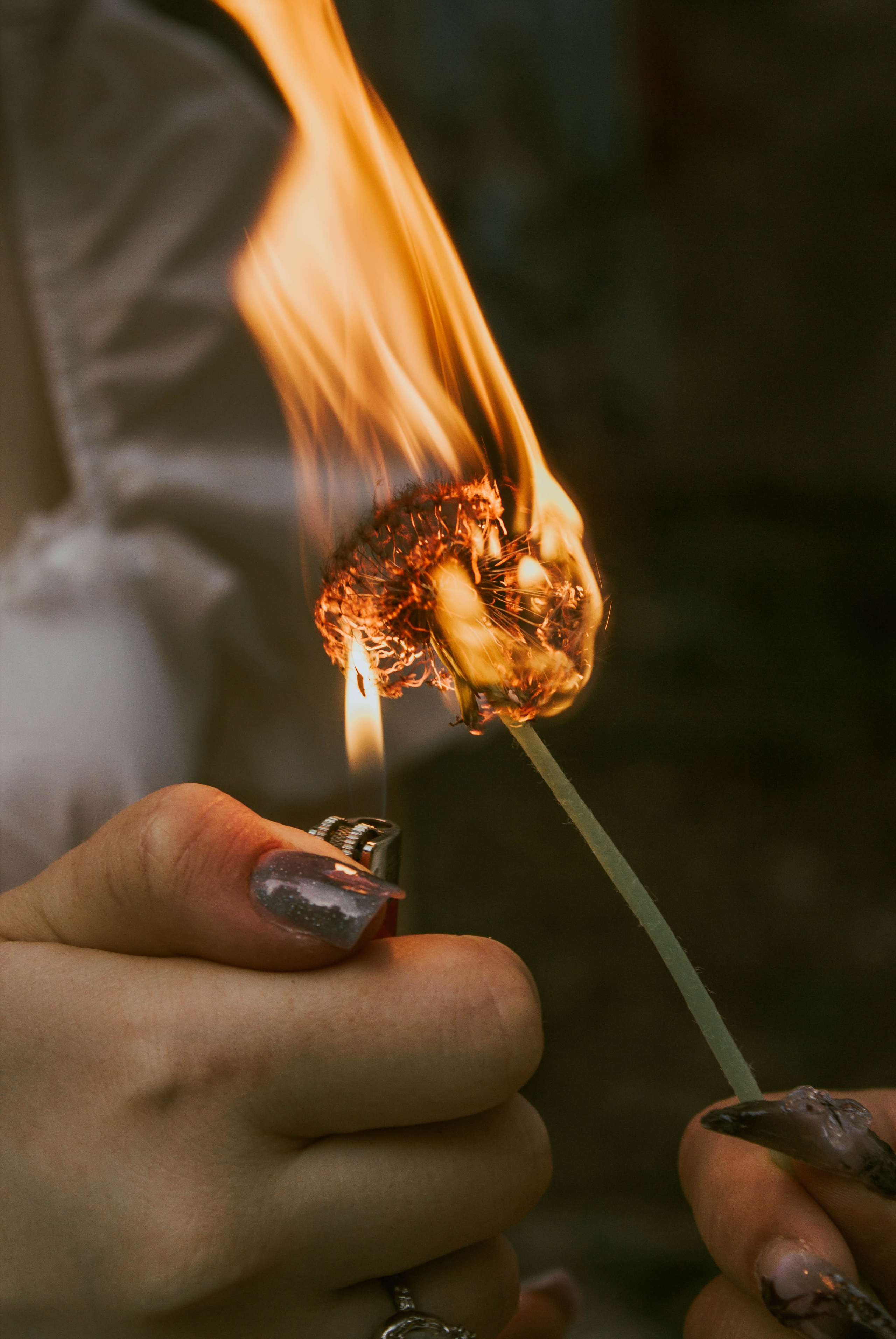 «Без названия»