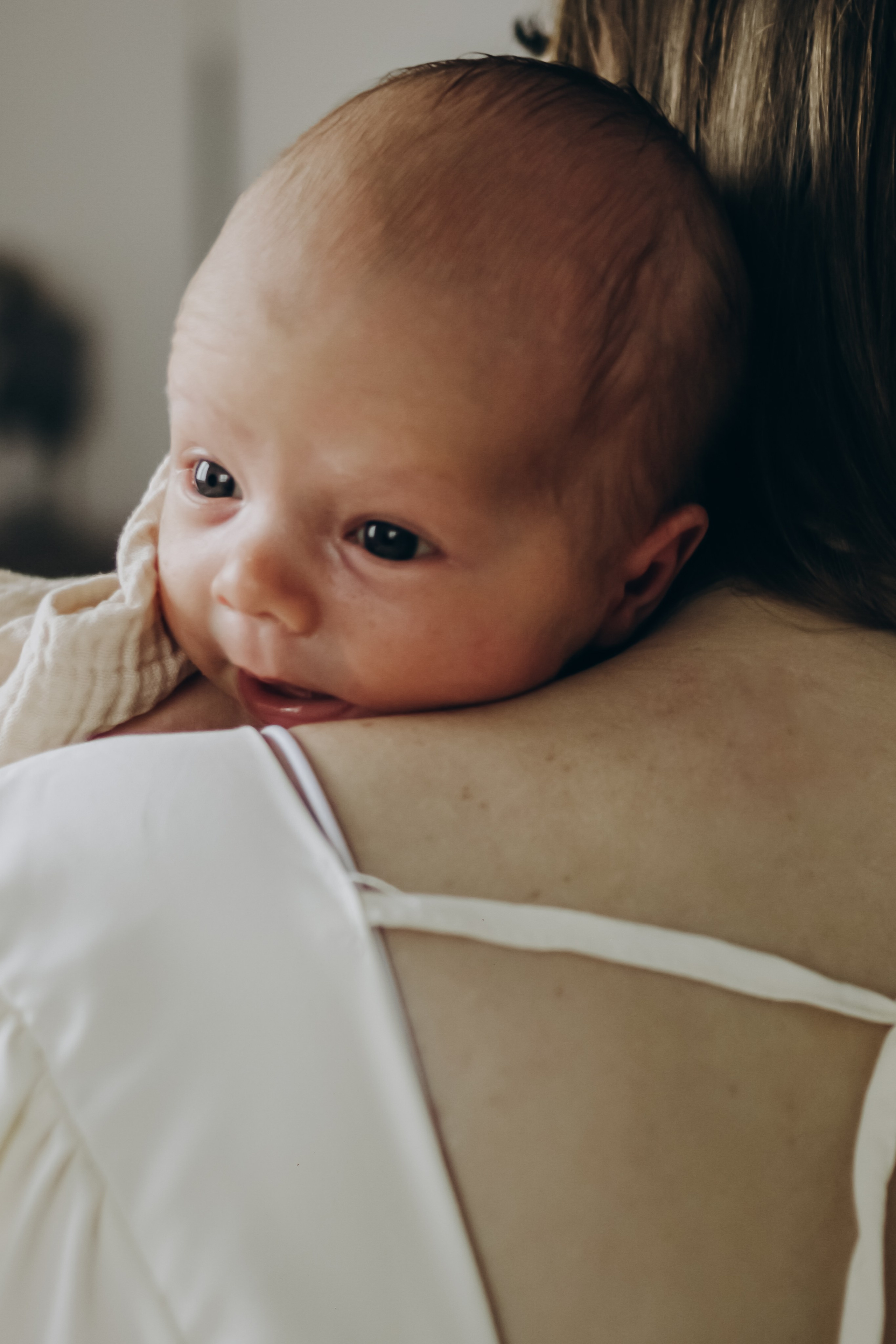 Домашняя 23.08.2025. Свой фотограф Нижний Новгород