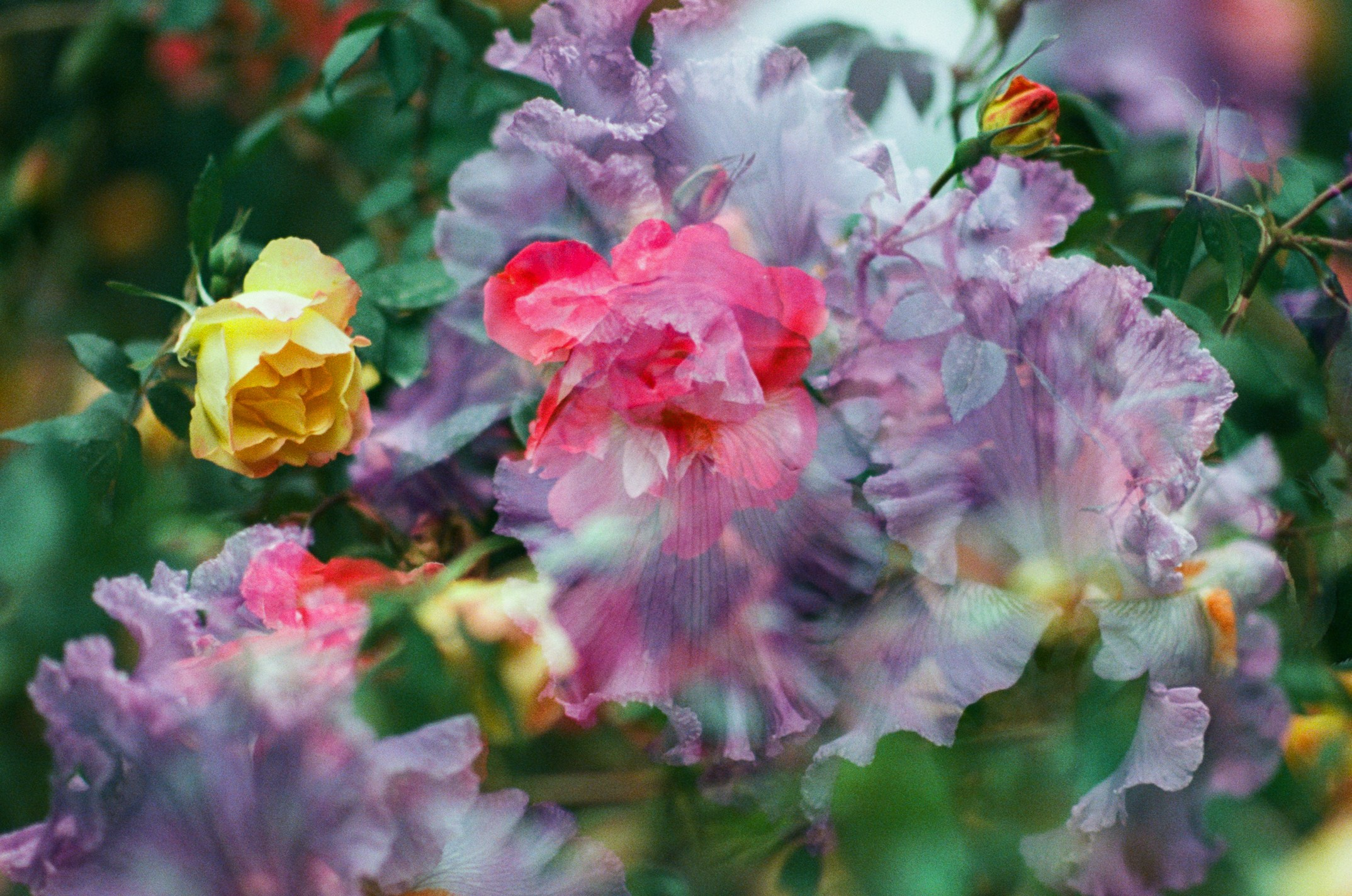 Pain shopping // ukraine, crimea V. EVER EXPOSED