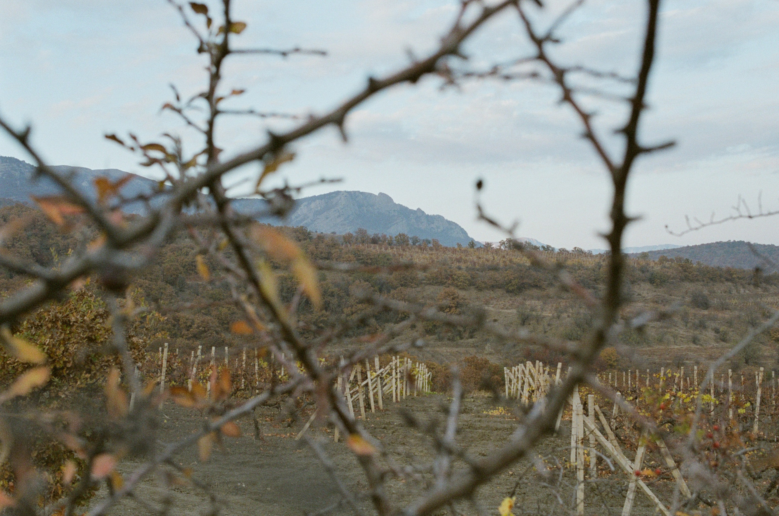 Wherever you will go // ukraine, crimea III. EVER EXPOSED