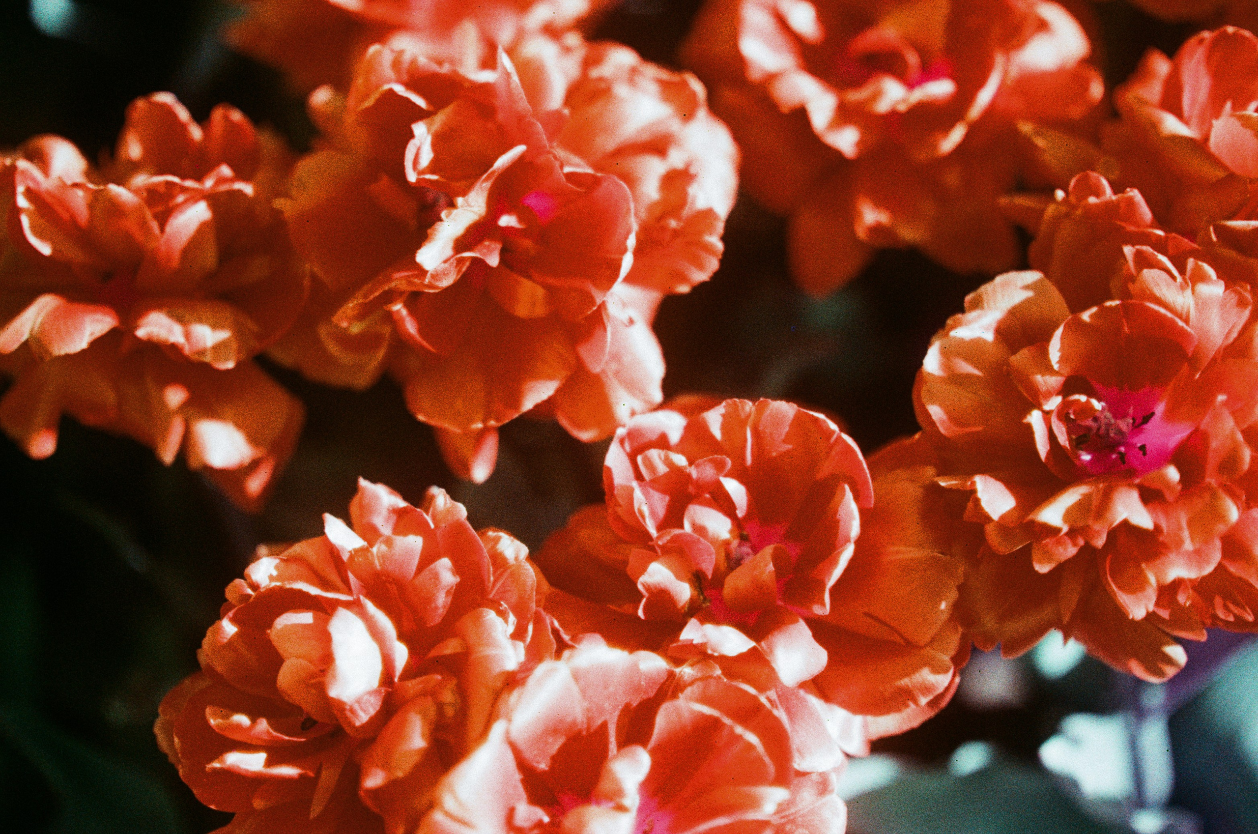 Press enter to exit // ukraine, crimea VIII. EVER EXPOSED