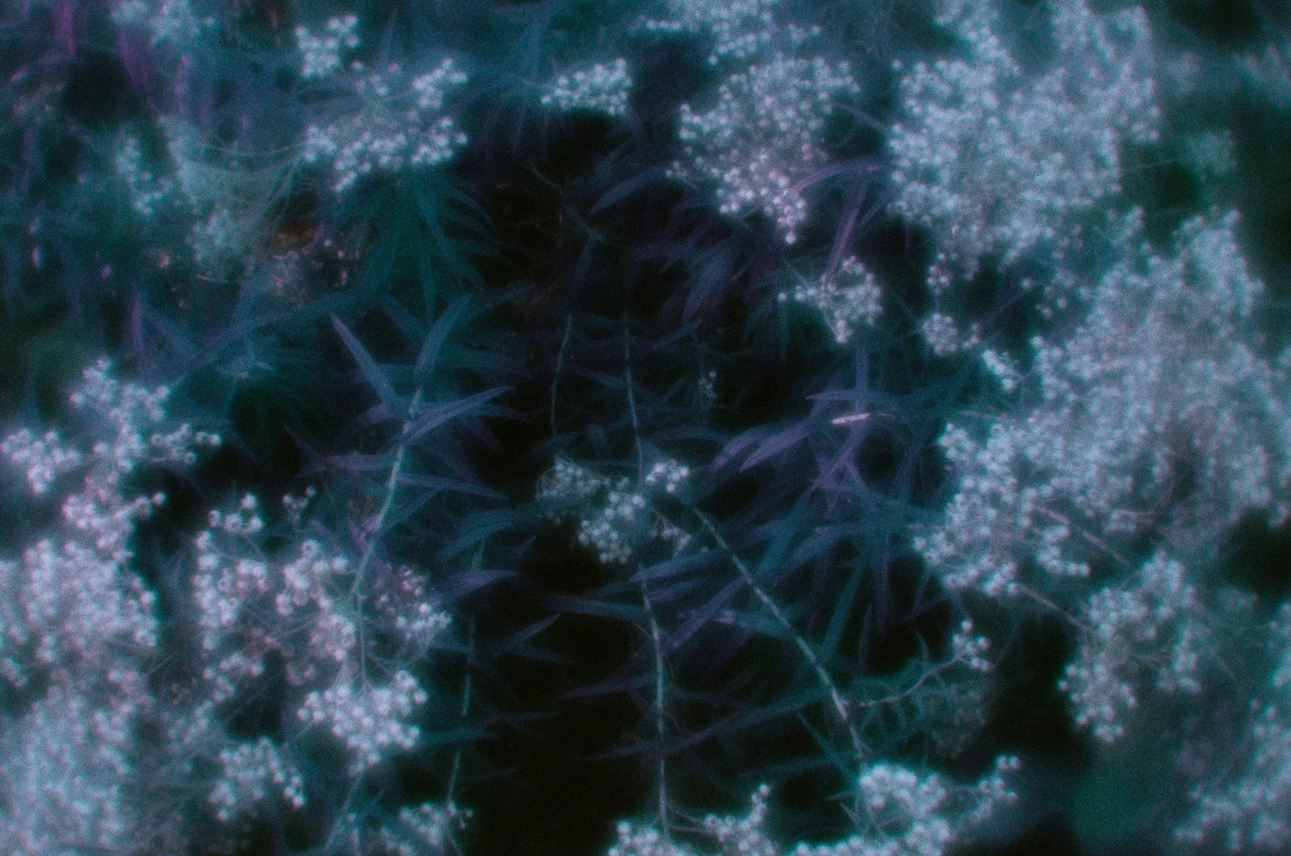 Everything i could never say to you II. EVER EXPOSED