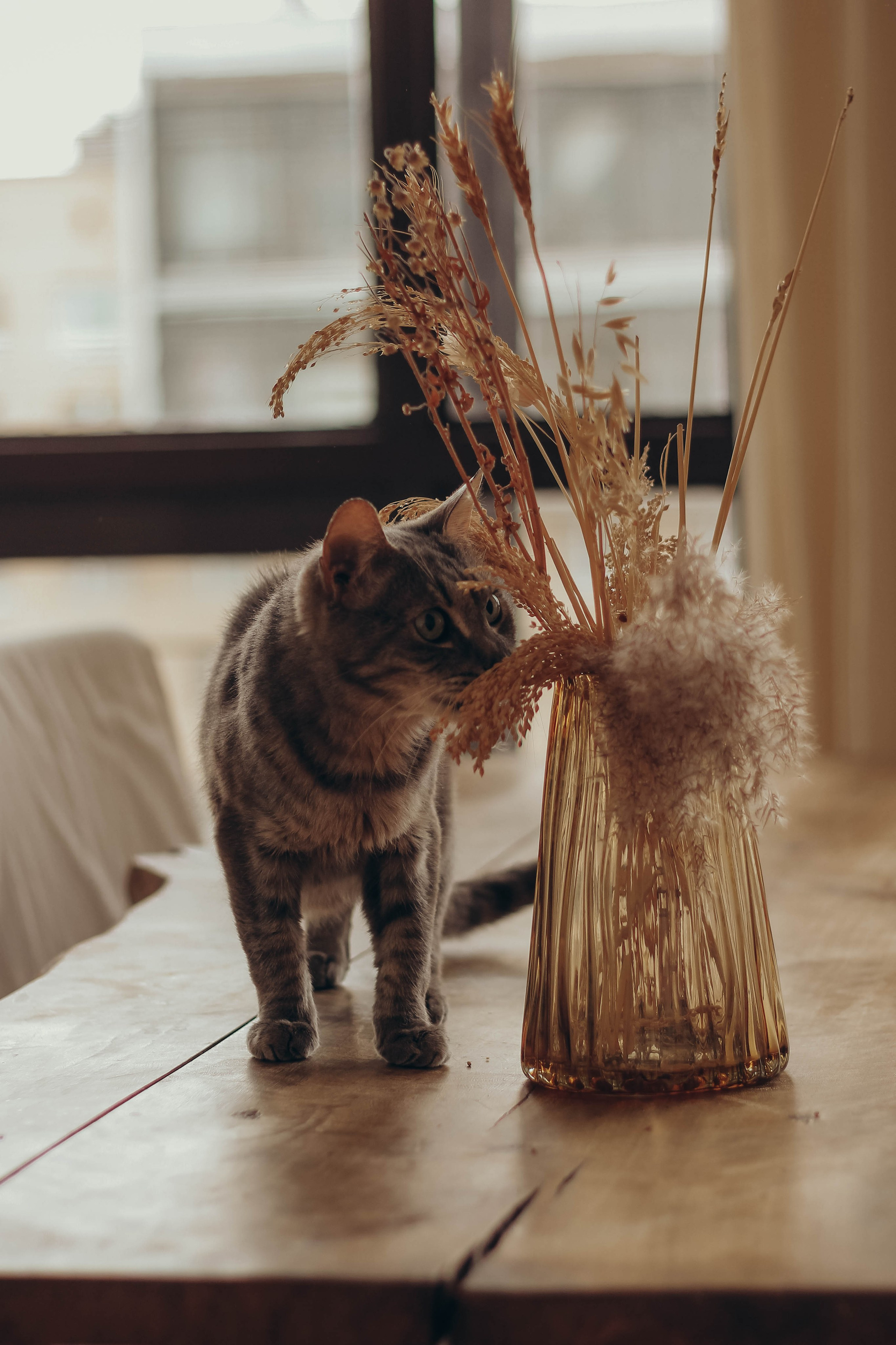 Семья Костиных. Hmliber — фотограф и контент-креатор из Петербурга