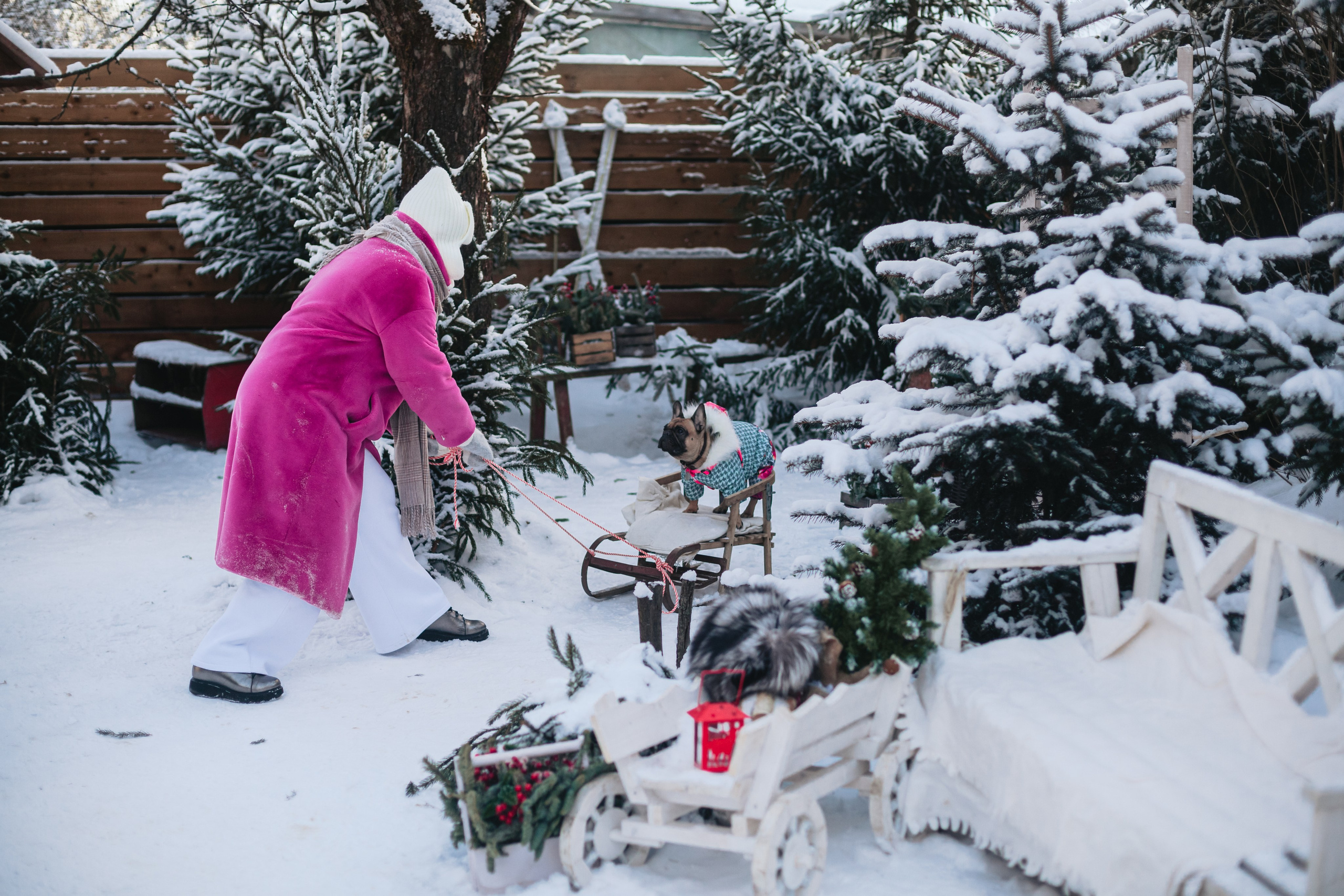 Зингер дача. Фотограф-анималист Татьяна Степанова