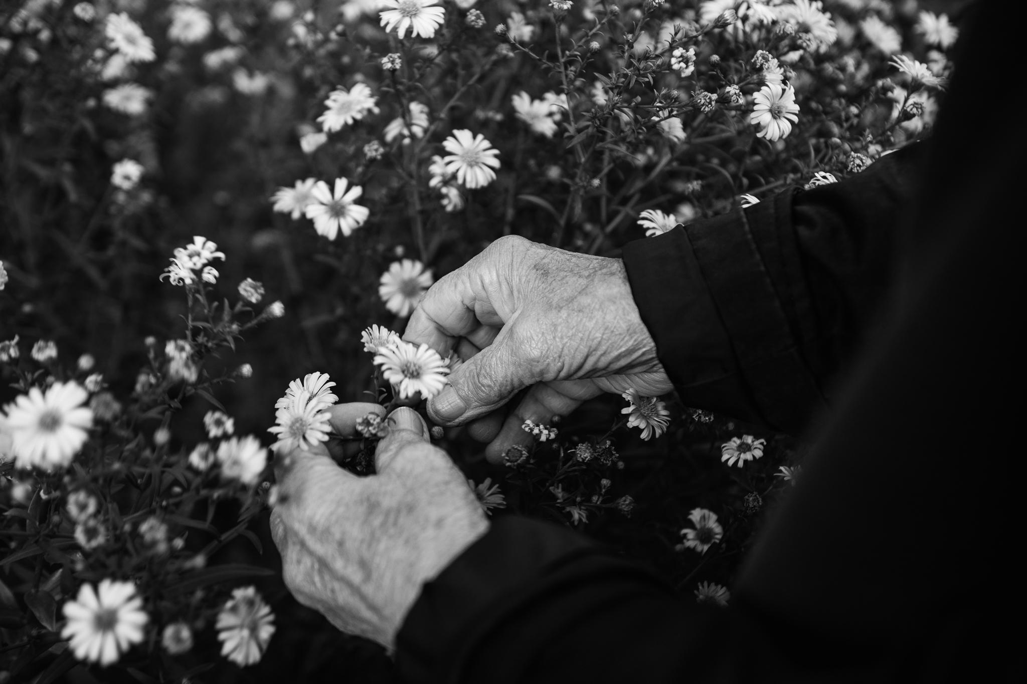 Радость жизни. Фотограф Валерия Голубева (Миронова)