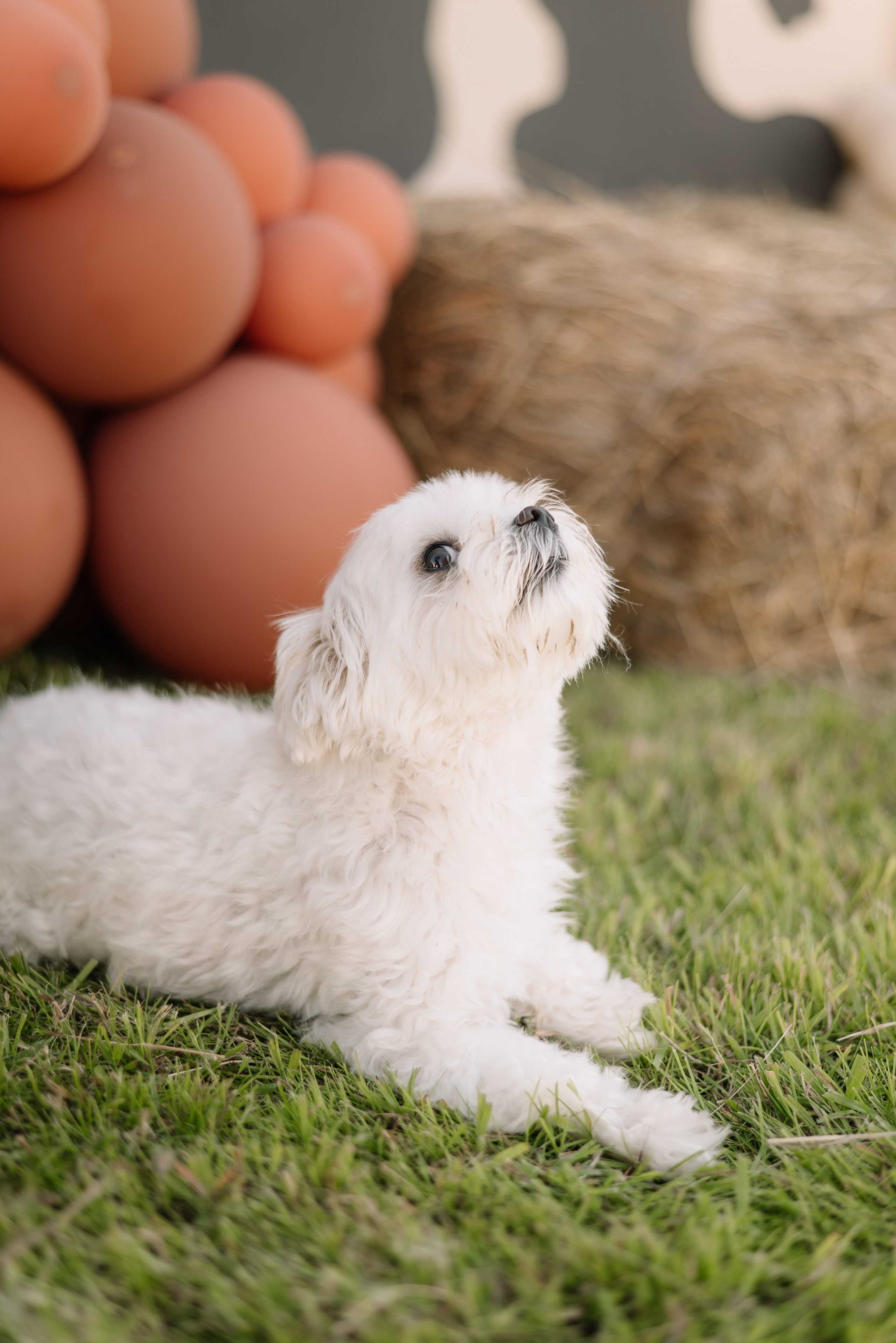 2 years Fedya. Фотограф Екатеринбург Александра Гнусина