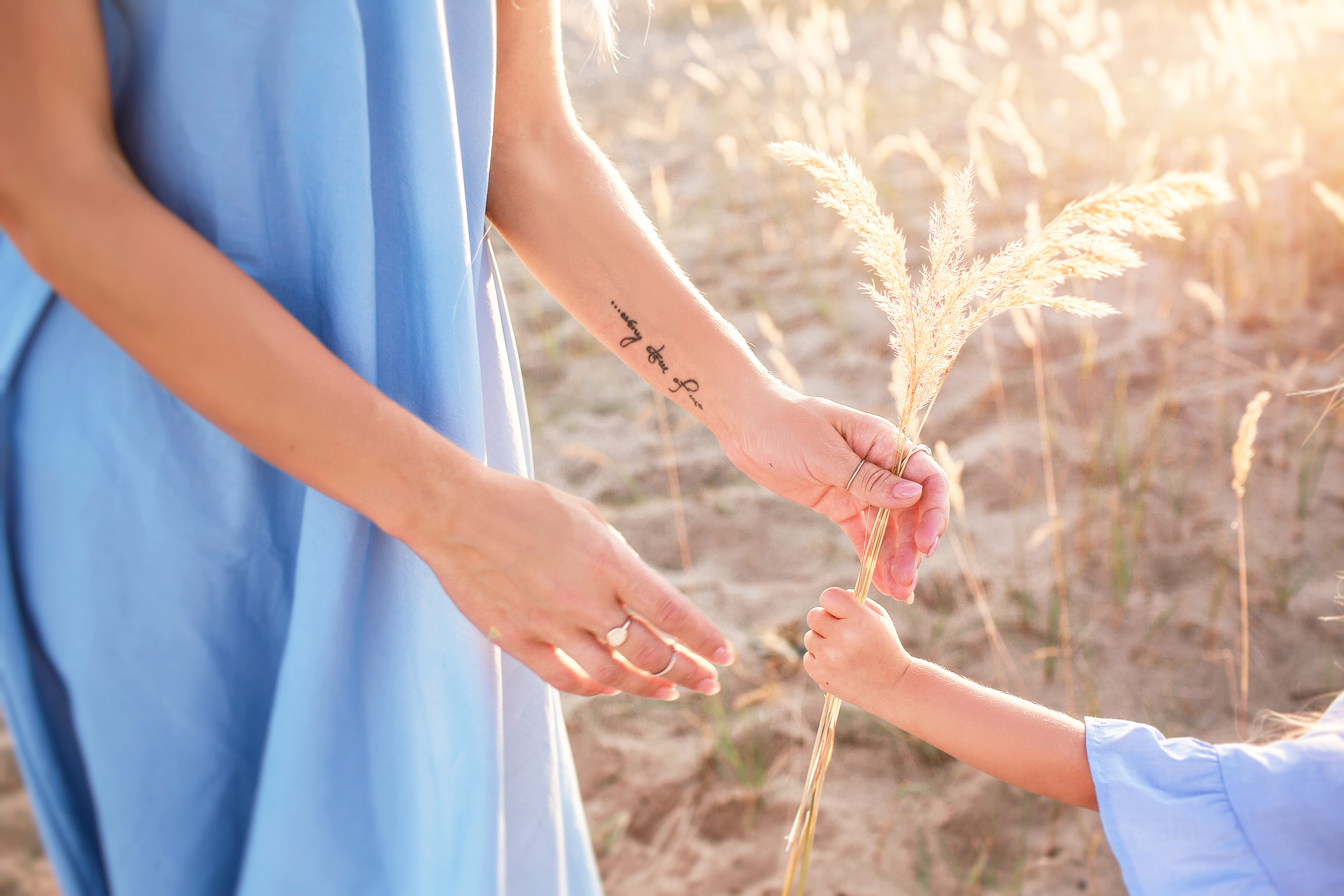 Семейный фотограф Новосибирск. Семейный фотограф, фотосессия беременности в Новосибирске Кристина Киб