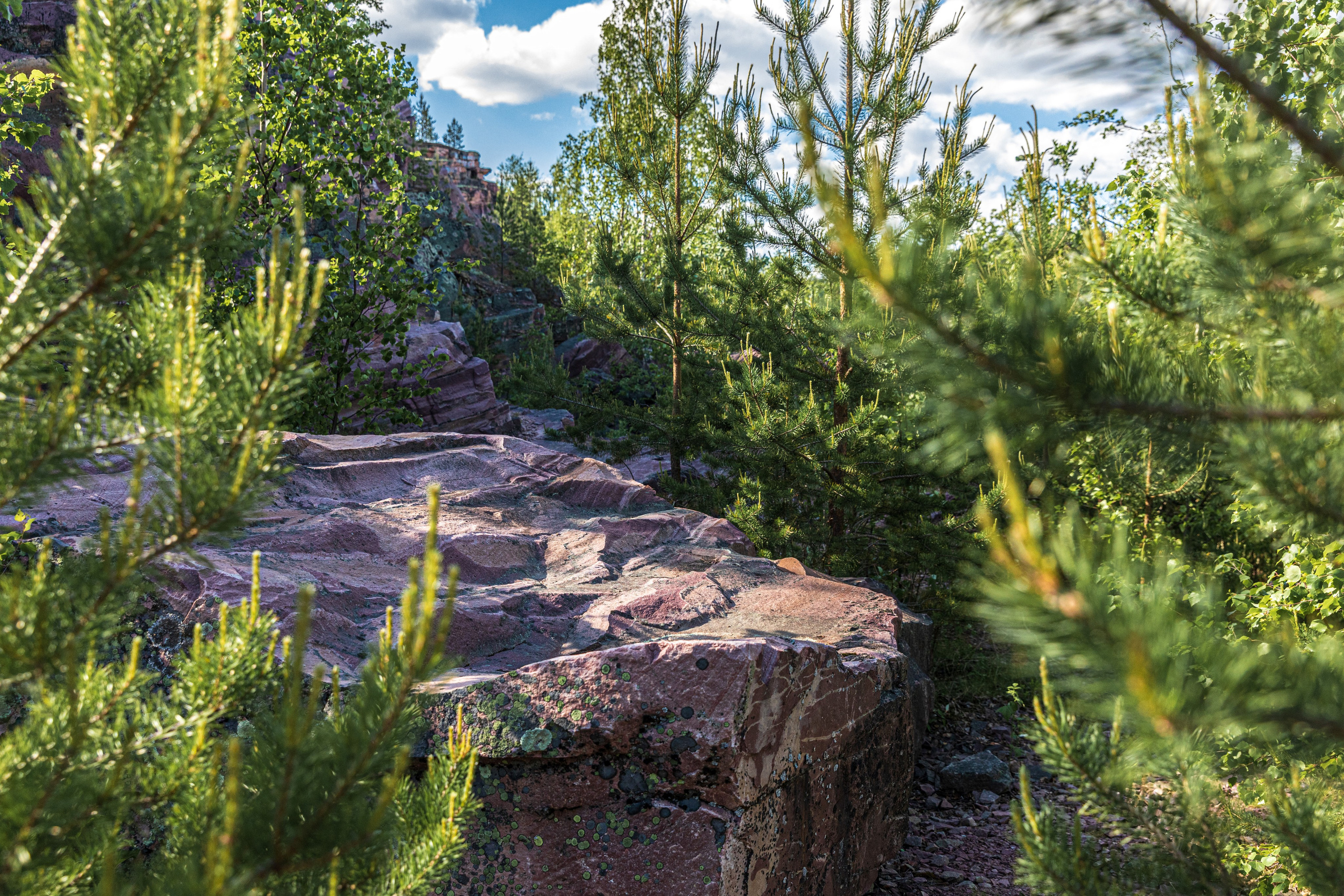 Турбаза. Фотограф в Петрозаводске Игорь Герасименко