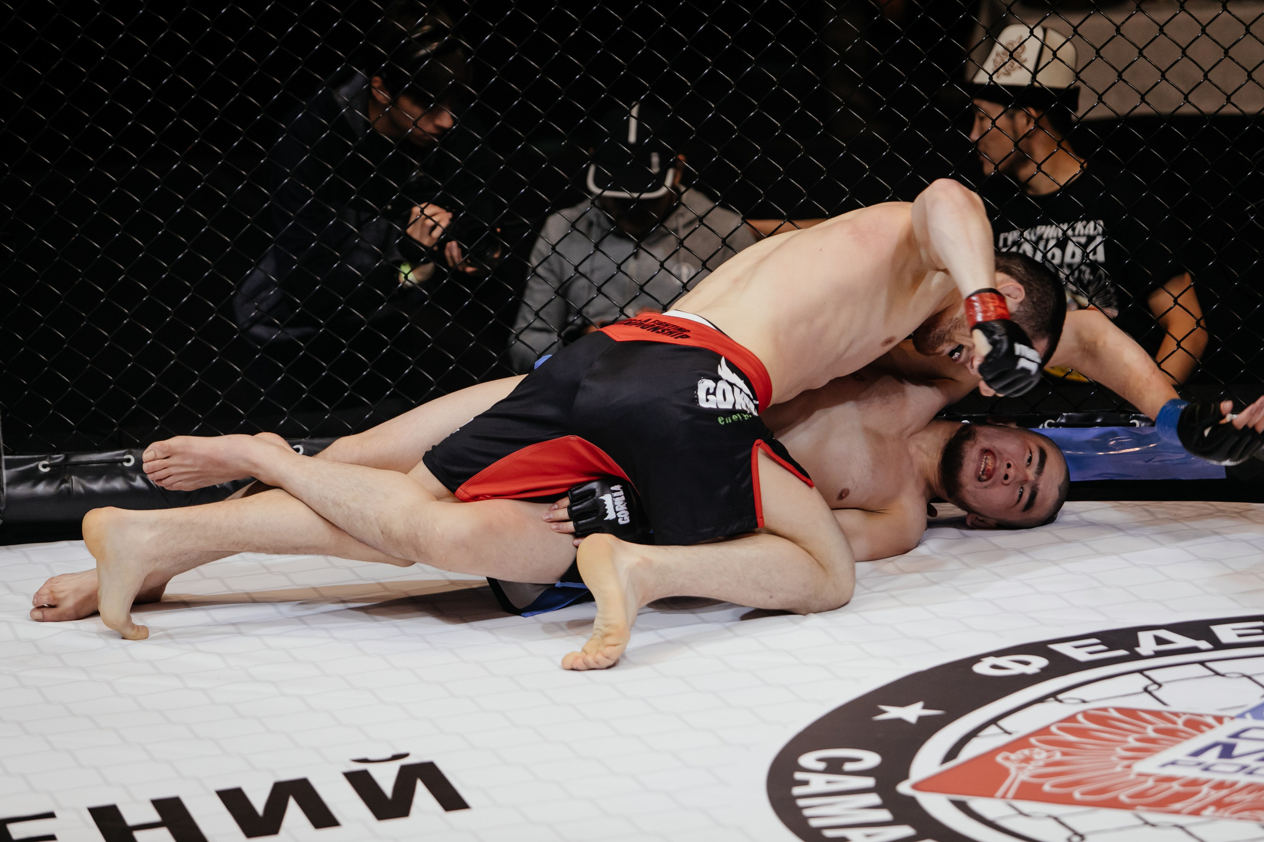 Gorilla Fighting Penza. Репортажный, event, концертный и backstage фотограф из Москвы Виталий Кривцов