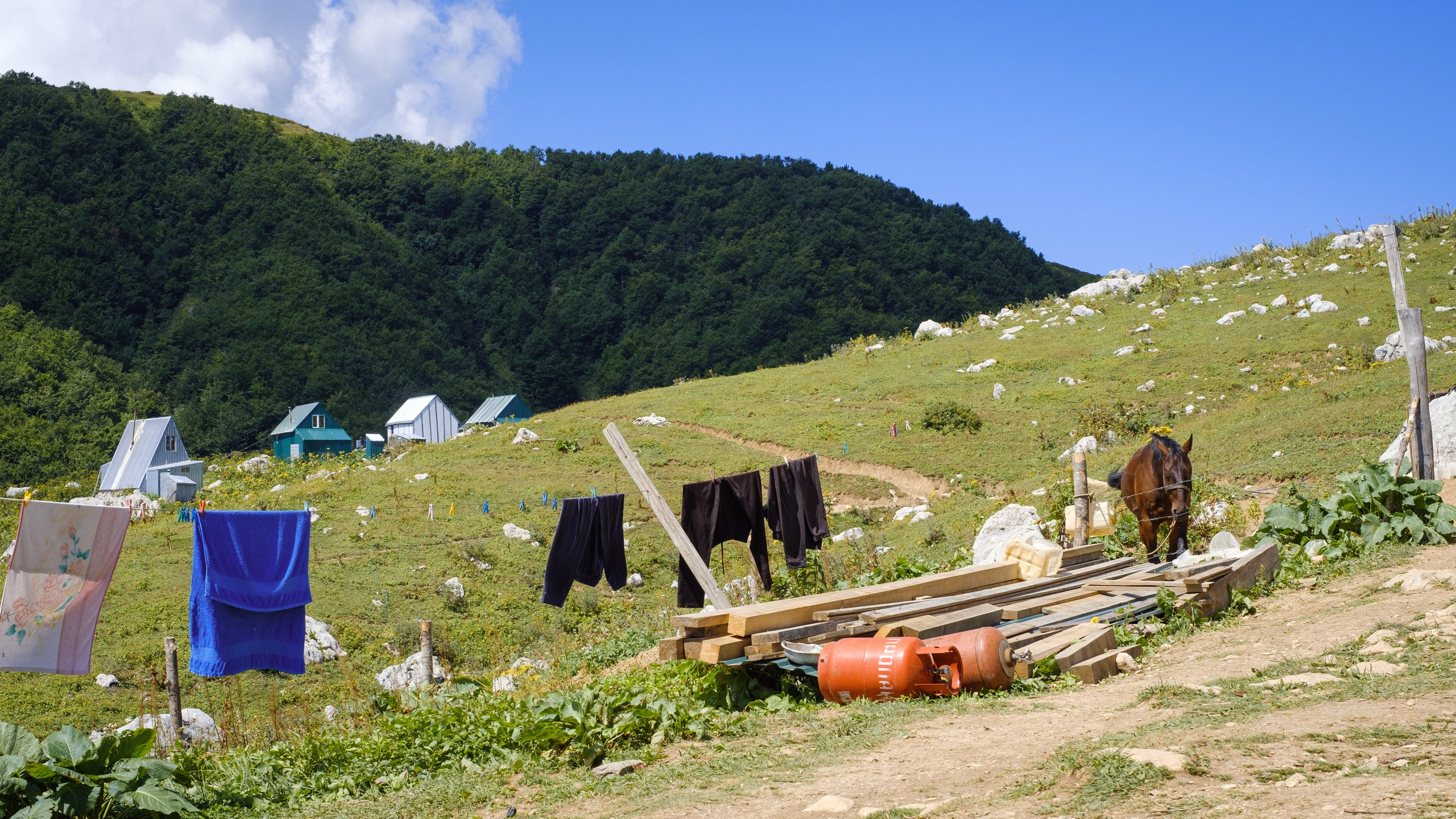 Тридцатка | август 2023