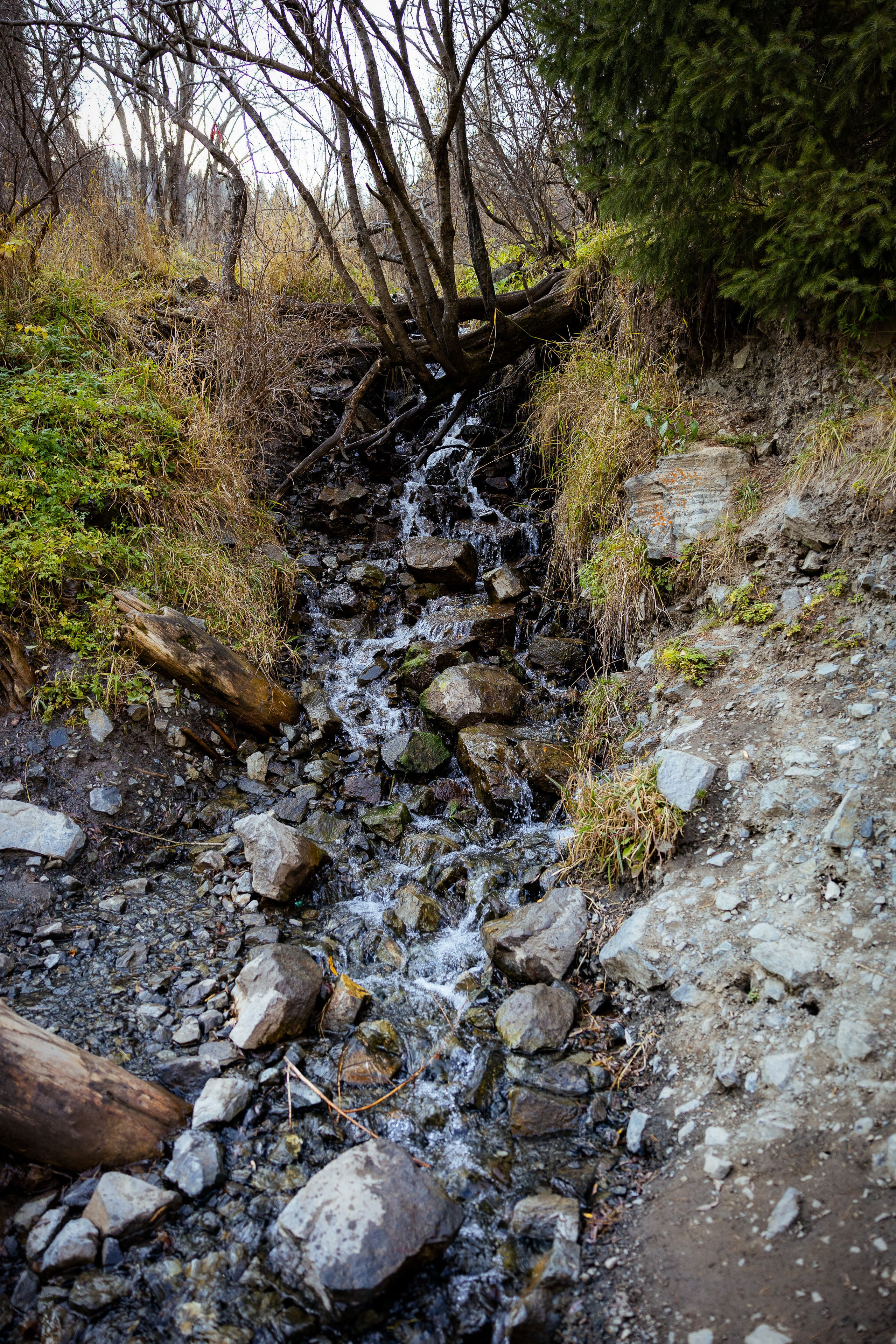 Казахстан (осень 2024). Фотограф Виноградов Константин