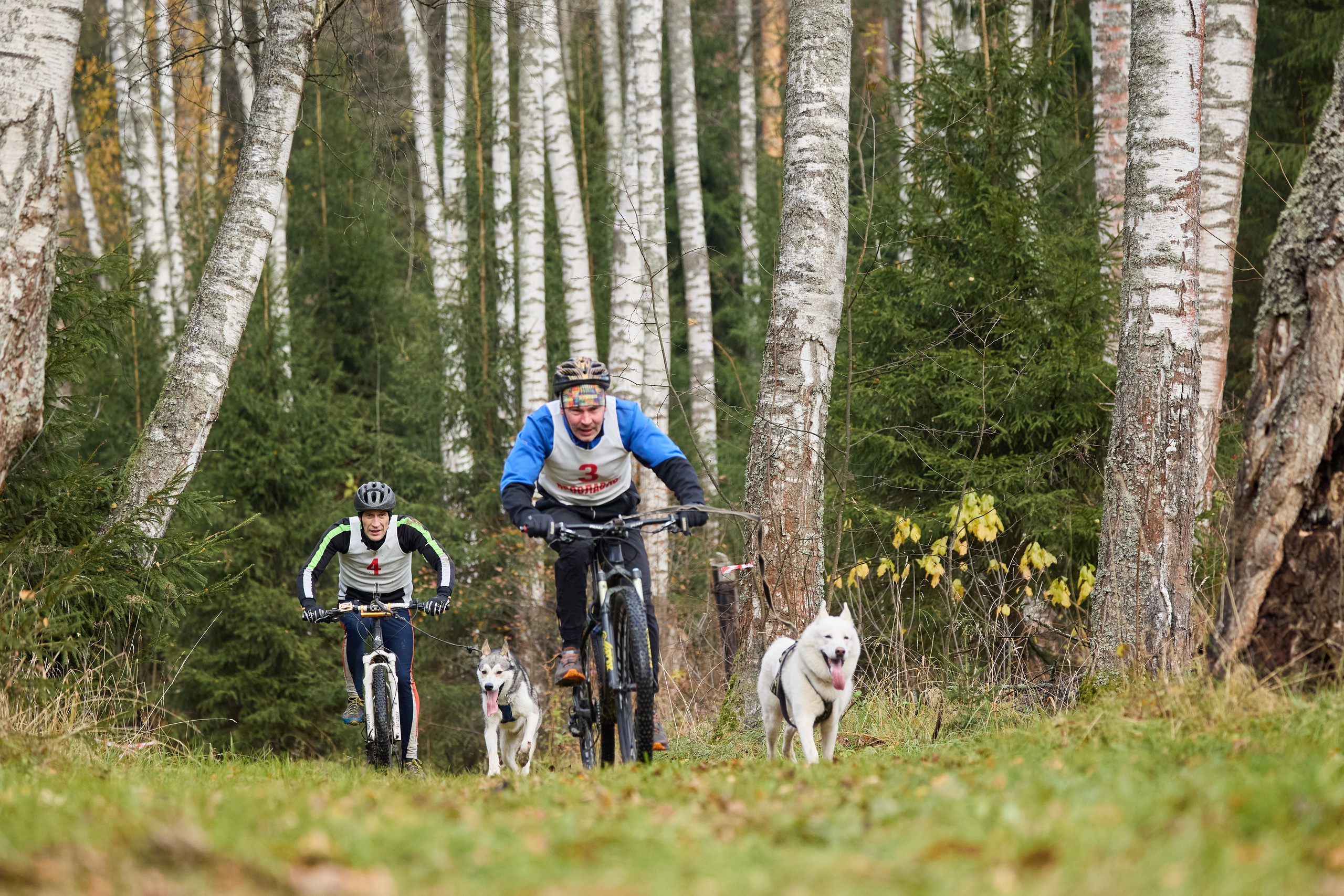 Чемпионат по ЕС Ярославской области. Фотограф Ирина Астор