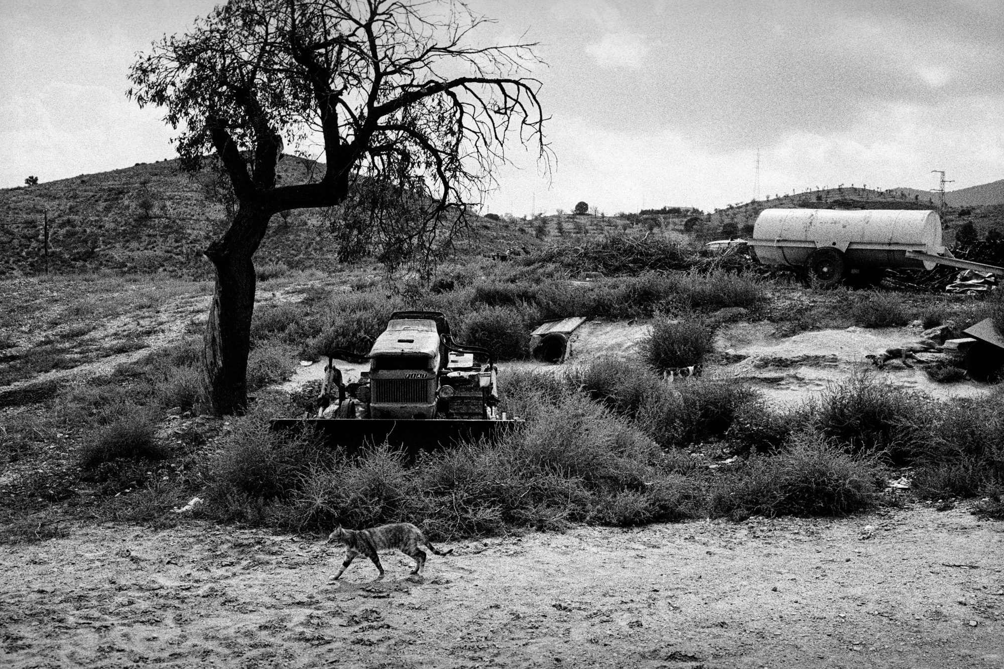 Memories of Spain. Документальный фотограф Алексей Мякишев, Москва