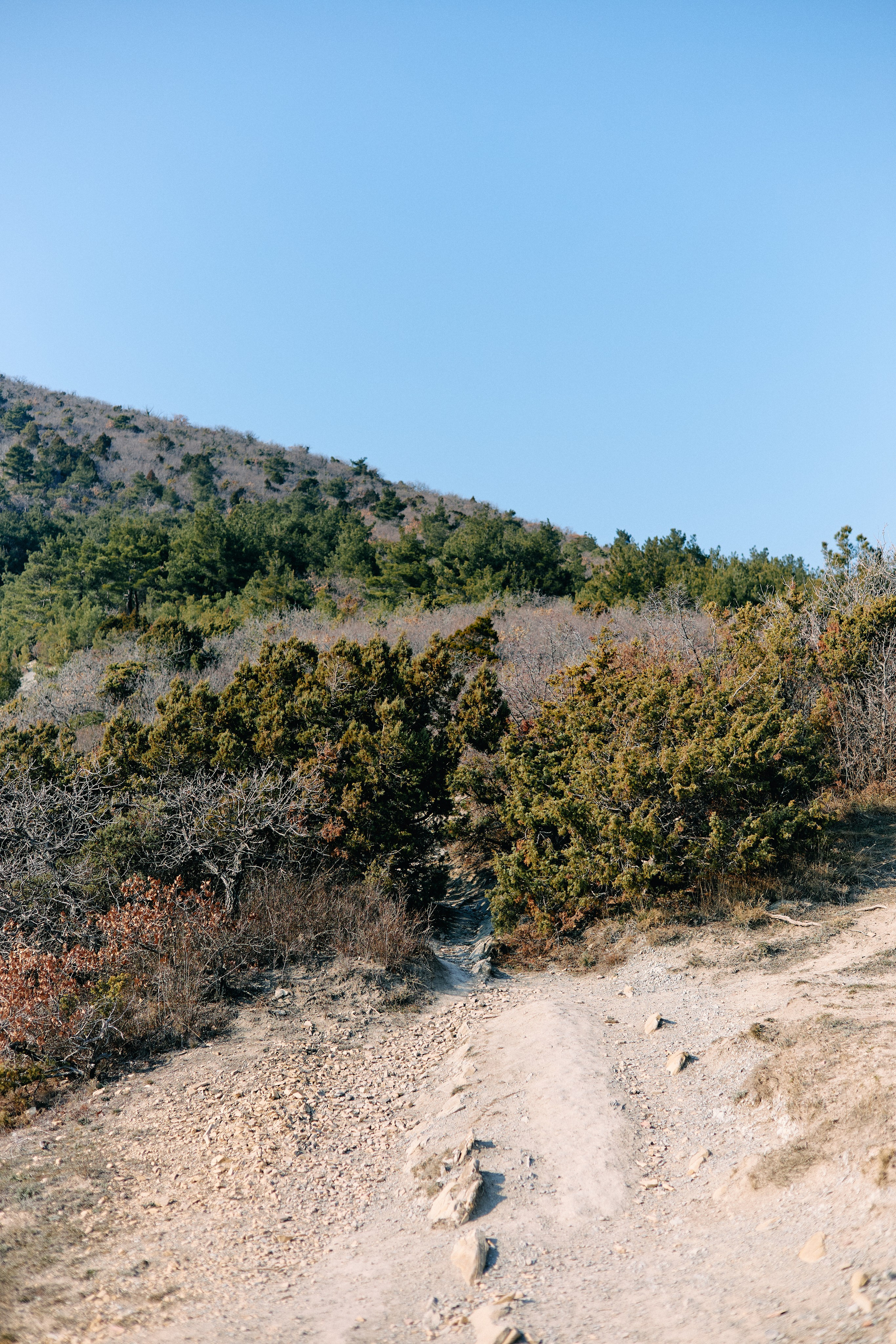 Юг России. Профессиональный Фотограф во Владимире, в Москве и в Суздале — Полина Романычева