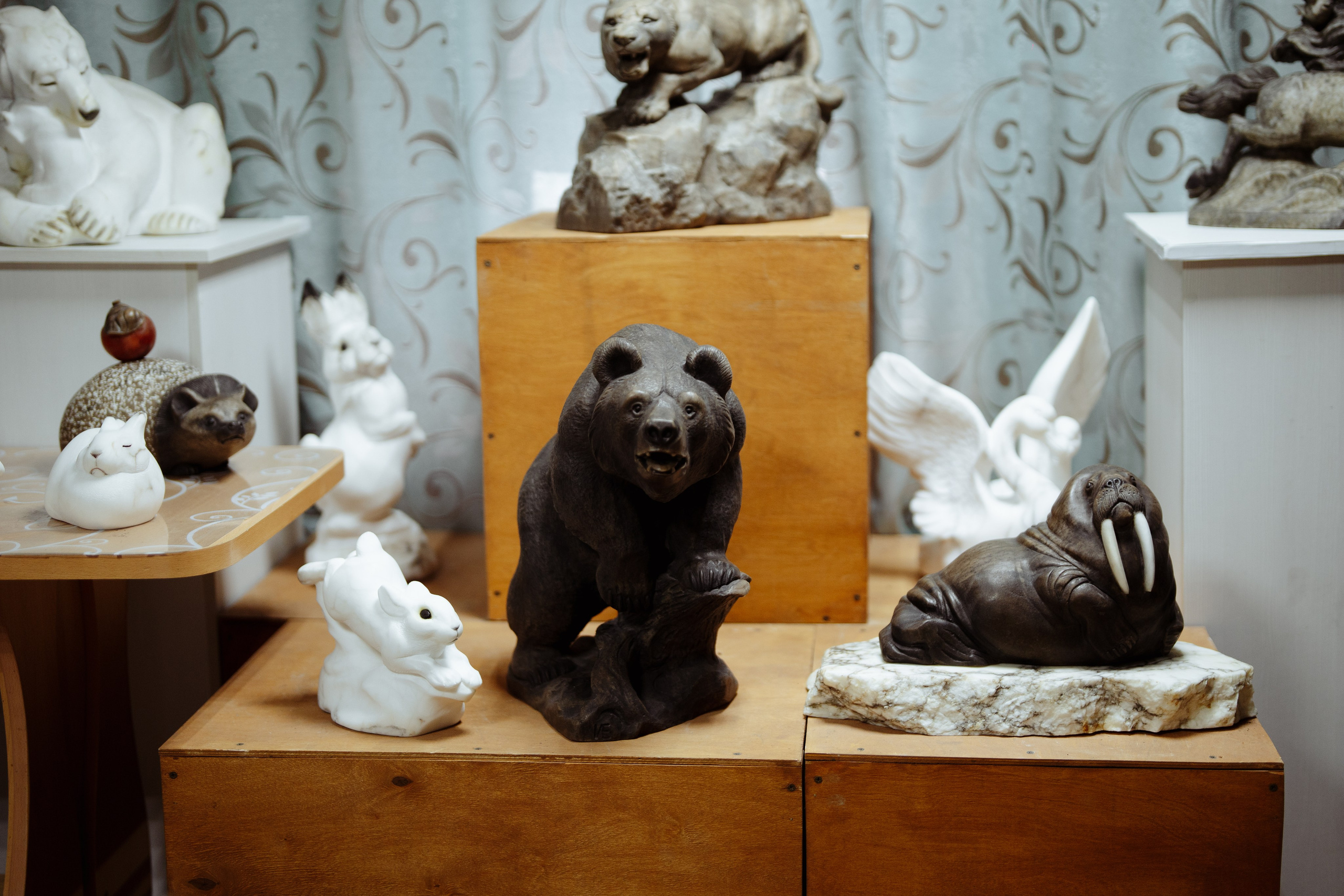 Сюжет № 10|Иван Викторович Евстифеев