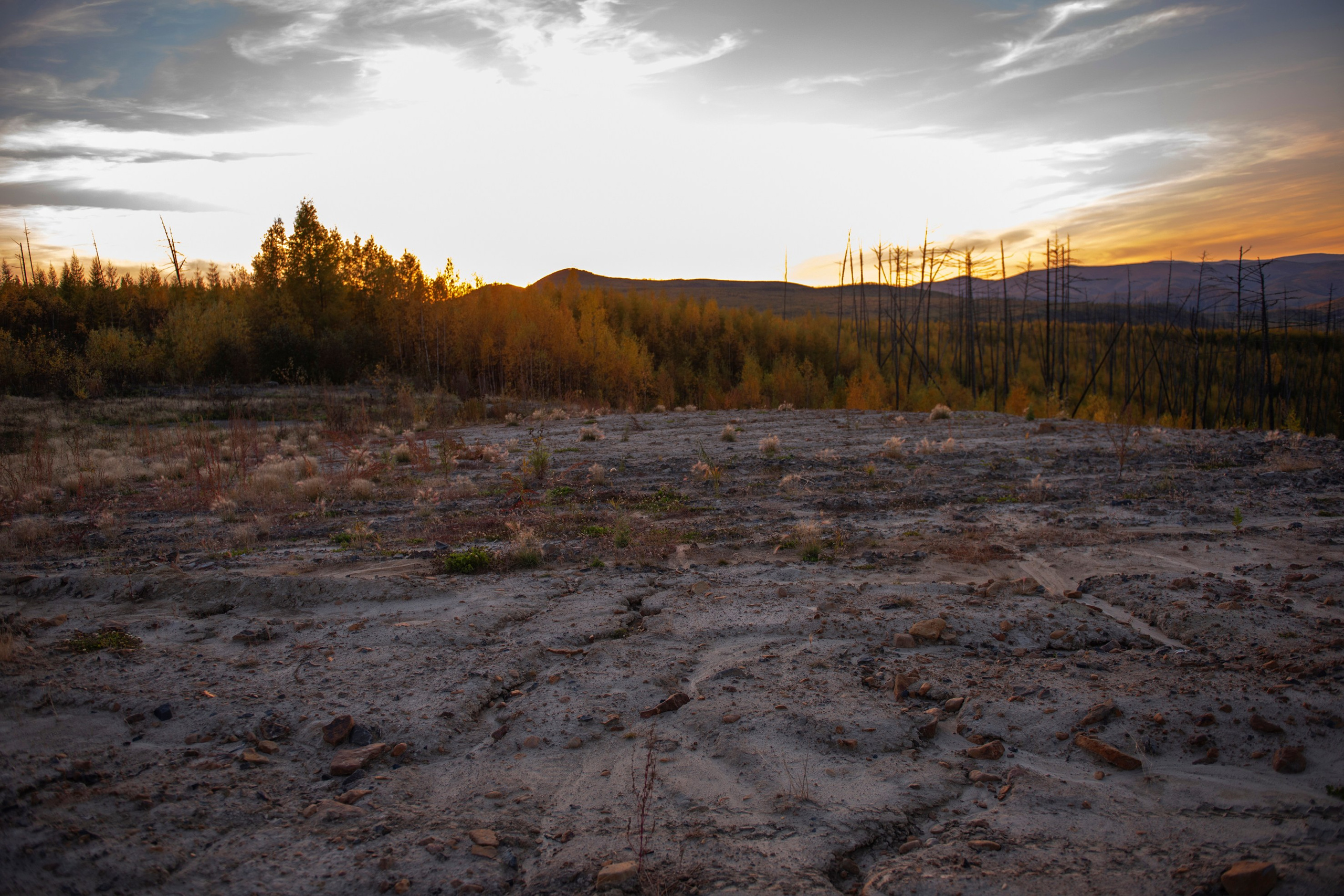 Природа Хабаровского края. Команда фотографов Кристины Ивановой