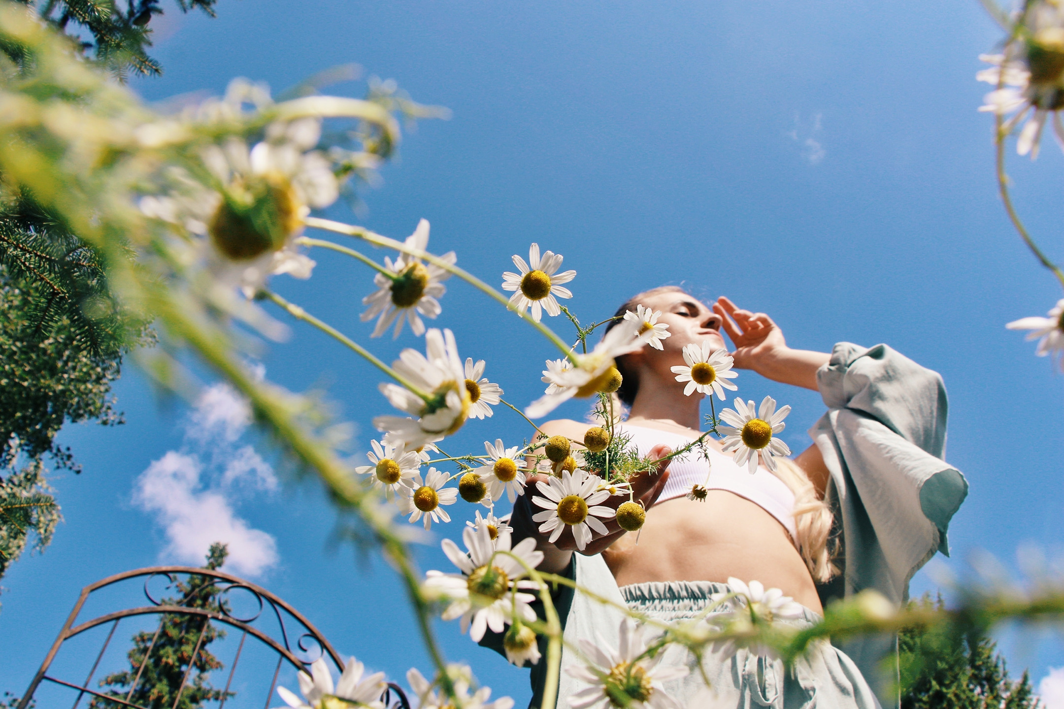 Ромашковое настроение Анастасии…. Творческая, семейная Фотосъемка ДоброДарова Елена Омск