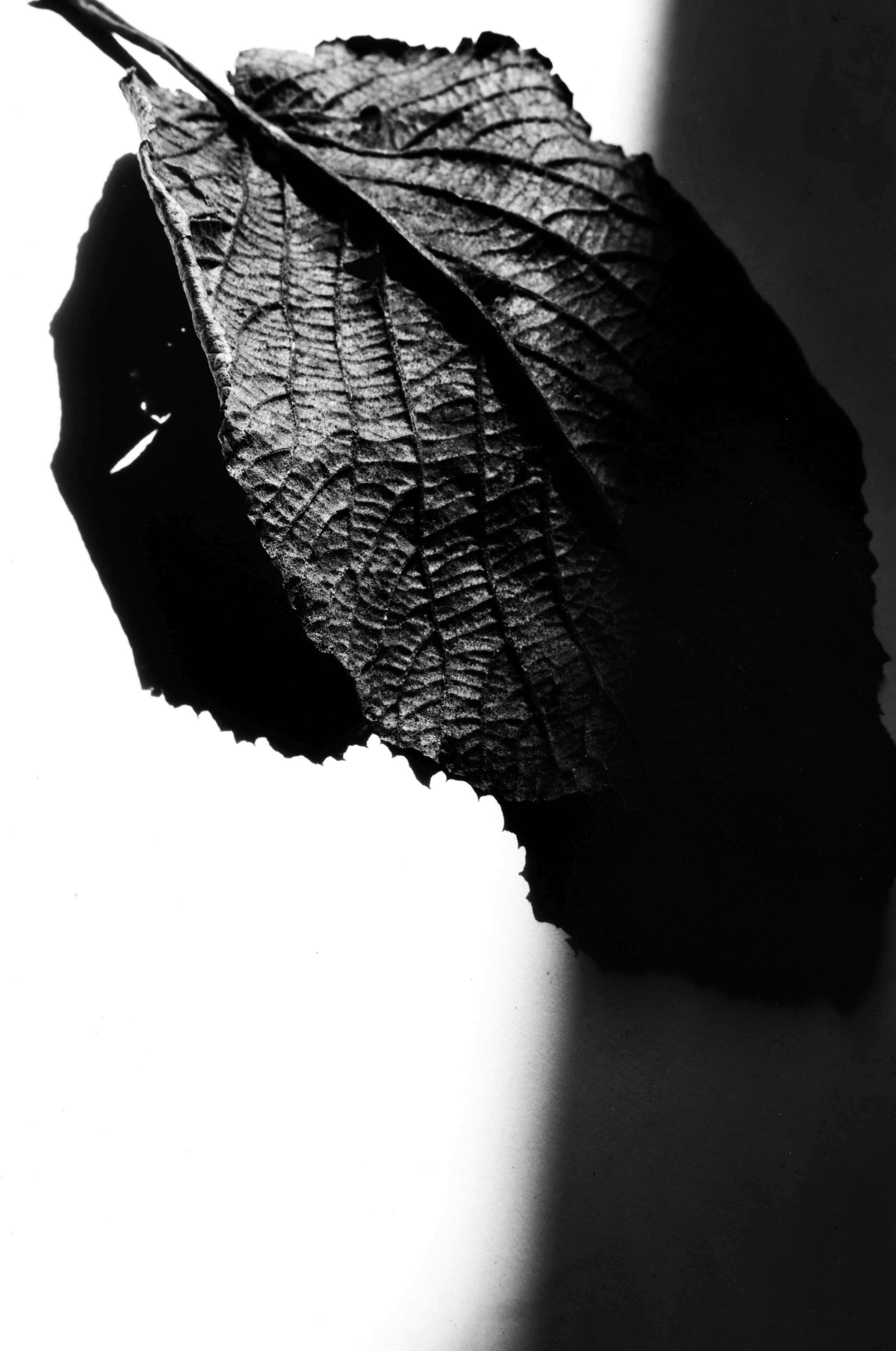 Иконическое. Избранное. Бесценное. Punctum