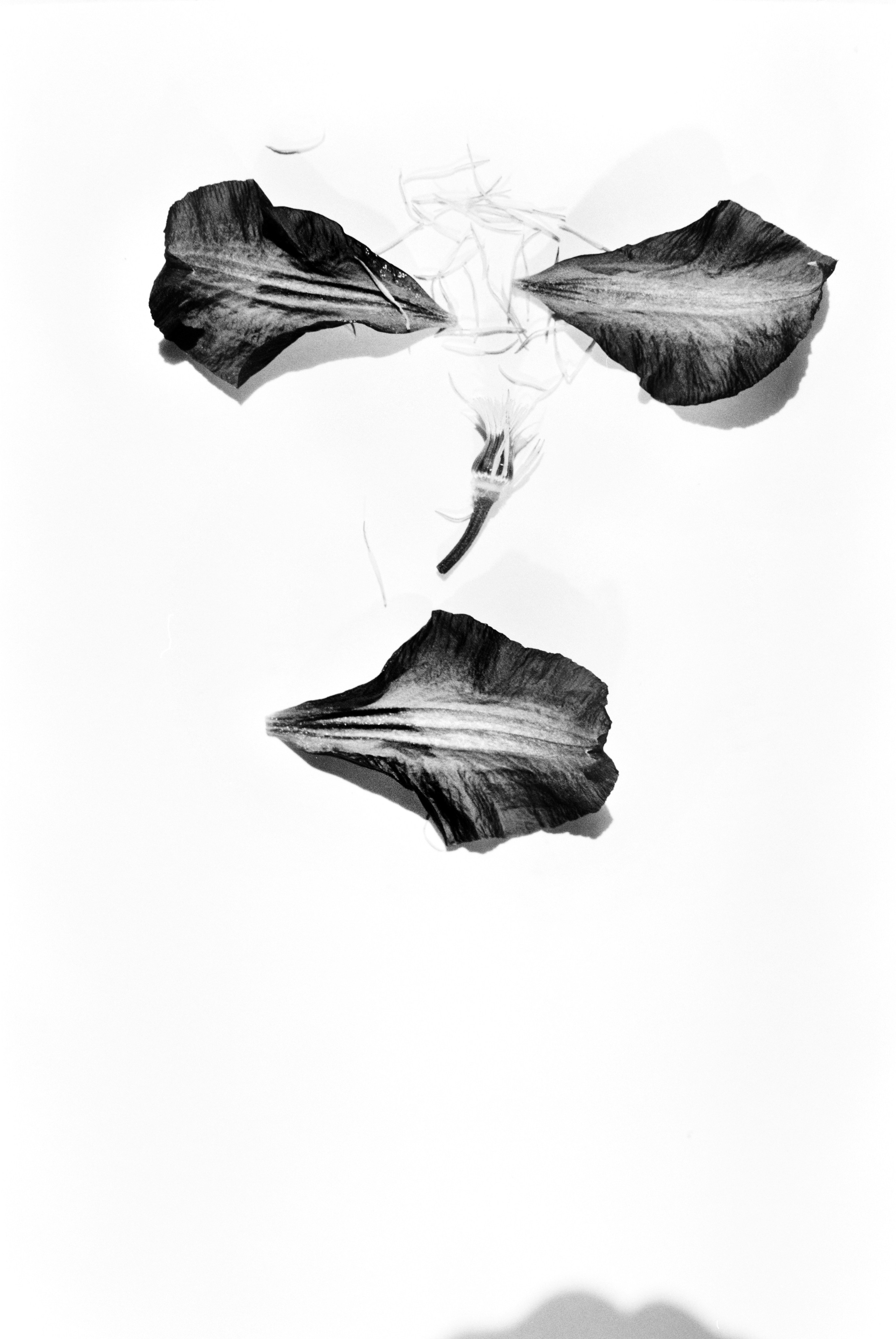 Иконическое. Избранное. Бесценное. Punctum