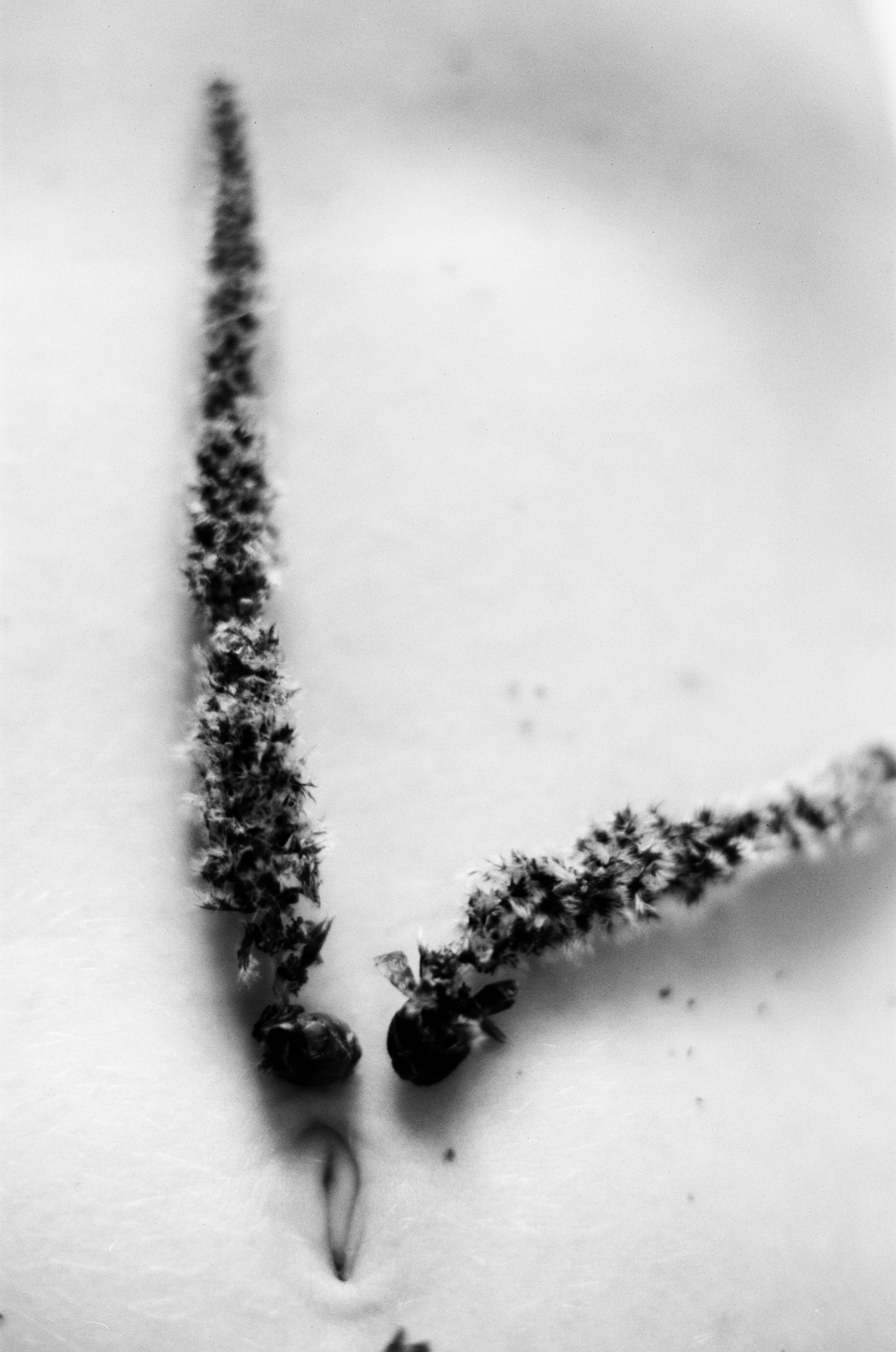 Иконическое. Избранное. Бесценное. Punctum