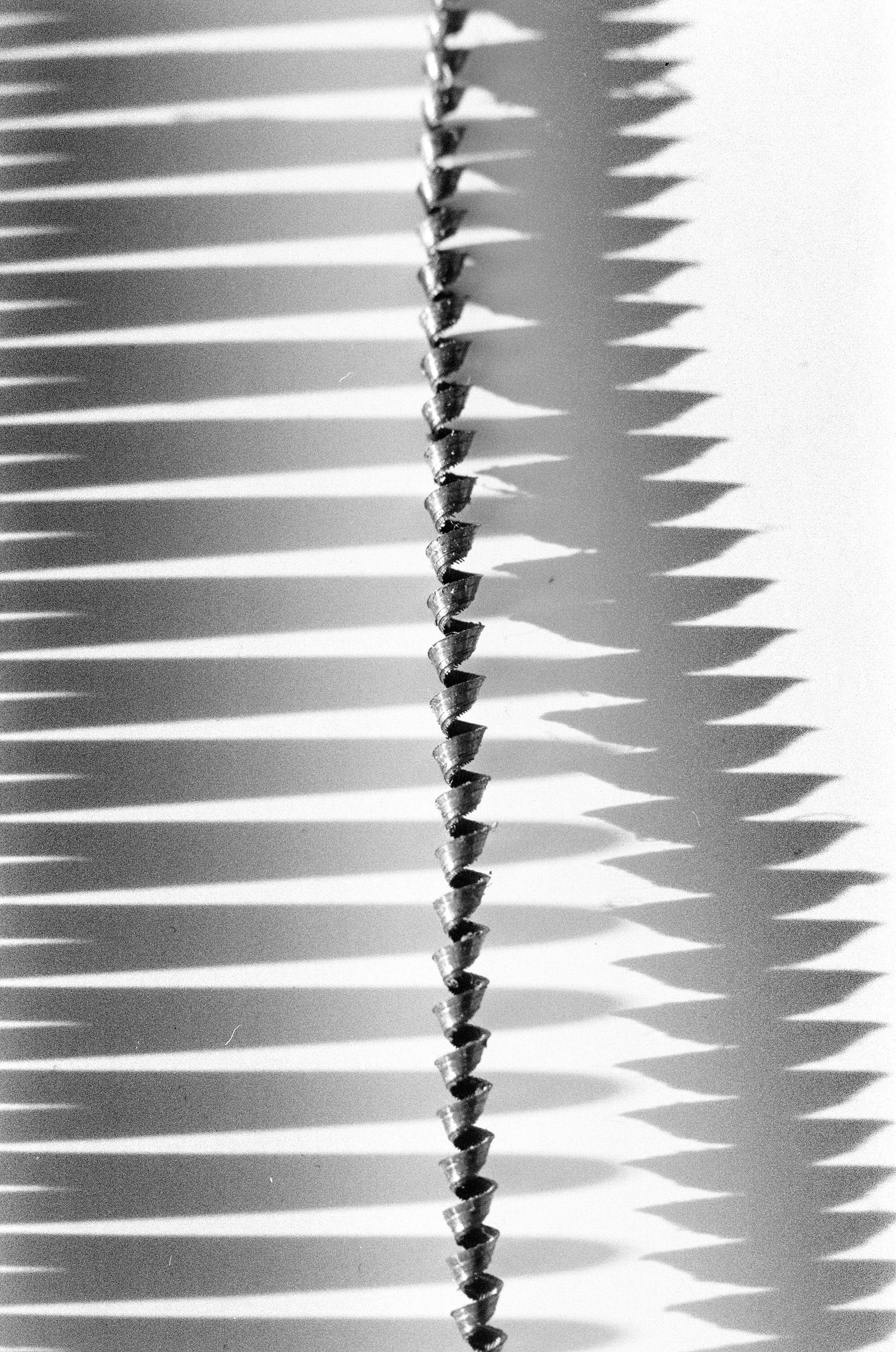 Иконическое. Избранное. Бесценное. Punctum