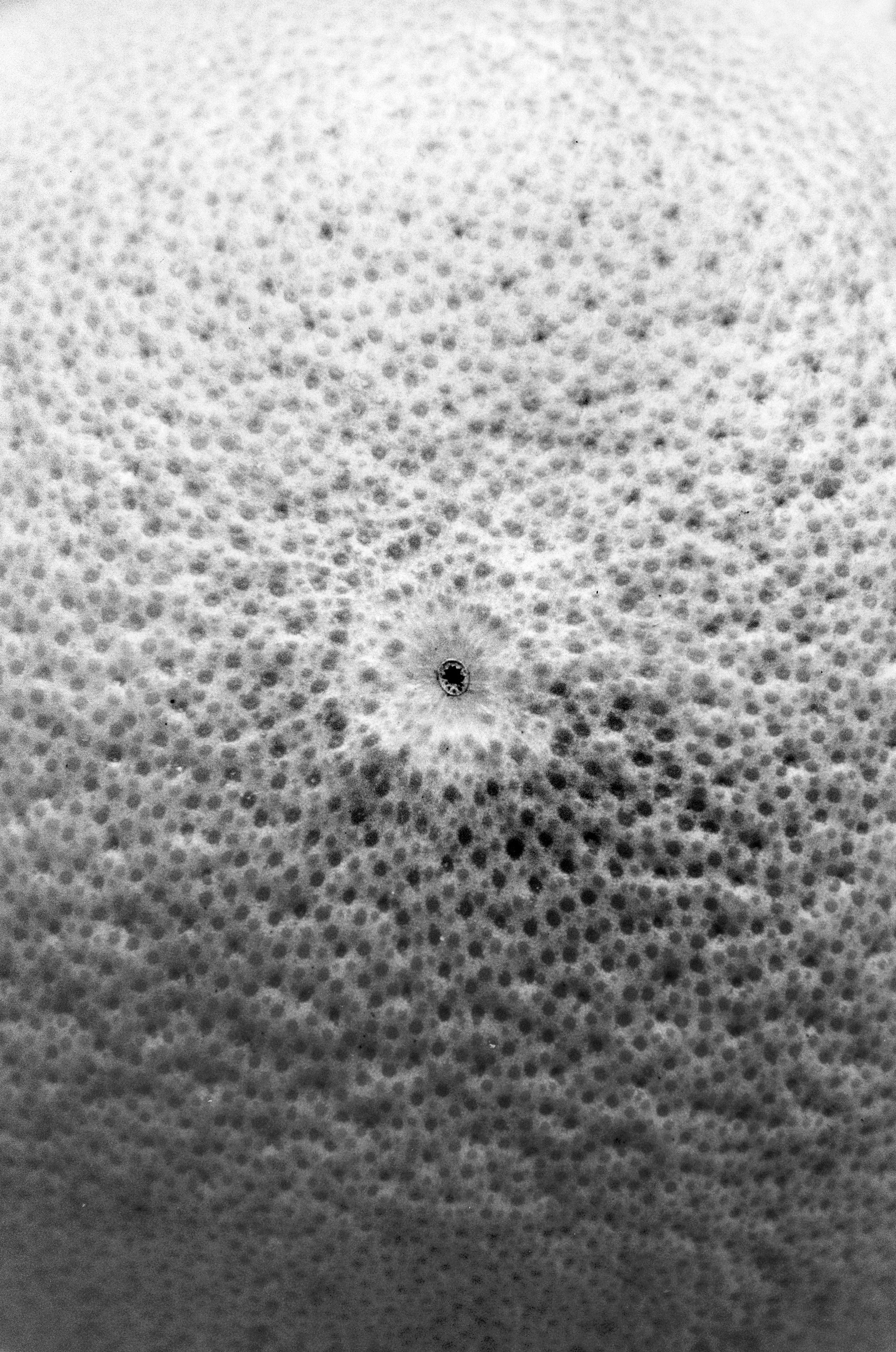 Иконическое. Избранное. Бесценное. Punctum