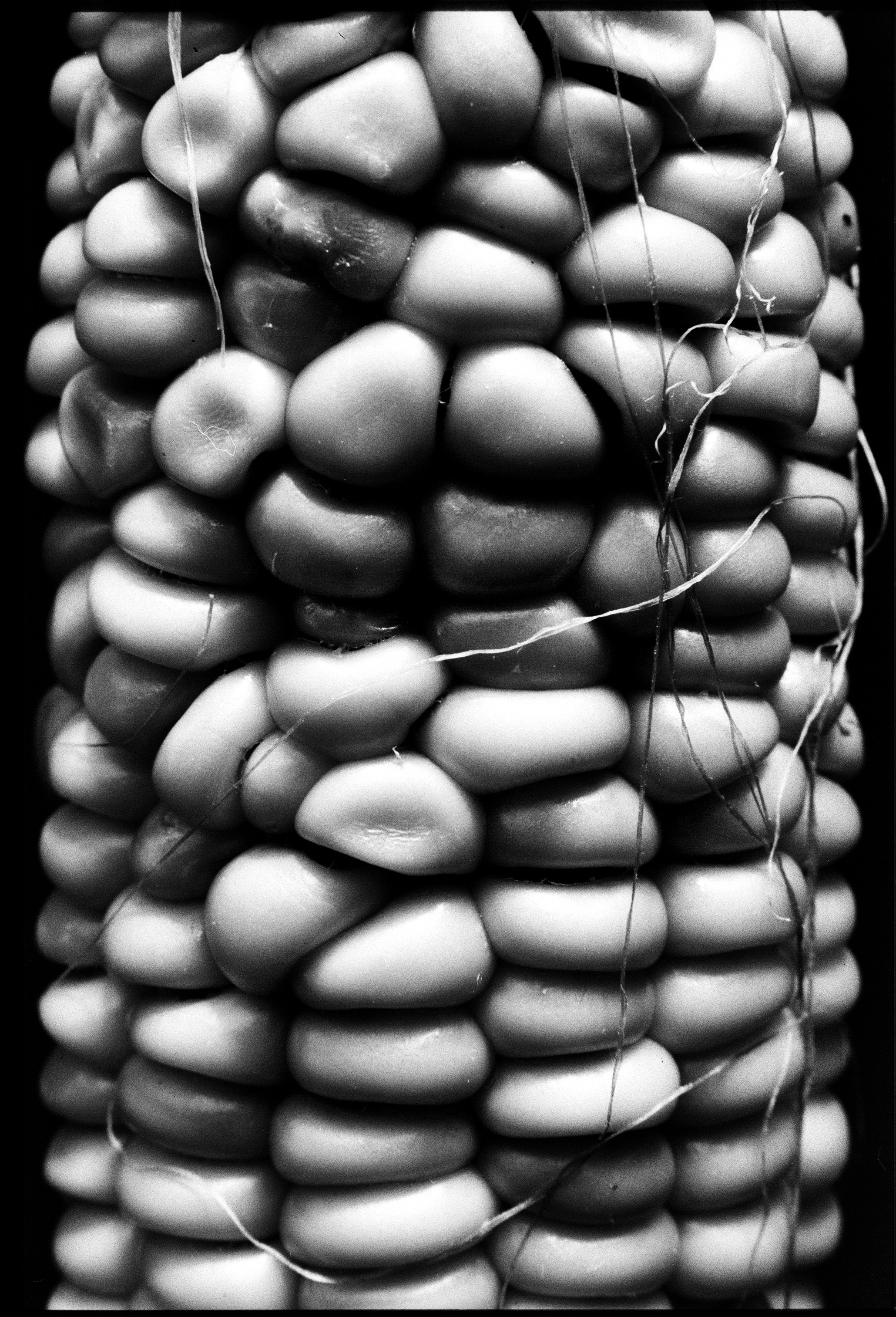 Иконическое. Избранное. Бесценное. Punctum