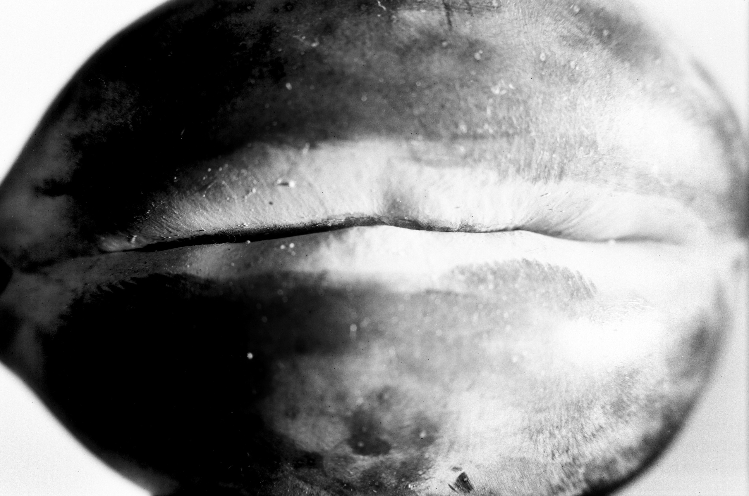 Иконическое. Избранное. Бесценное. Punctum