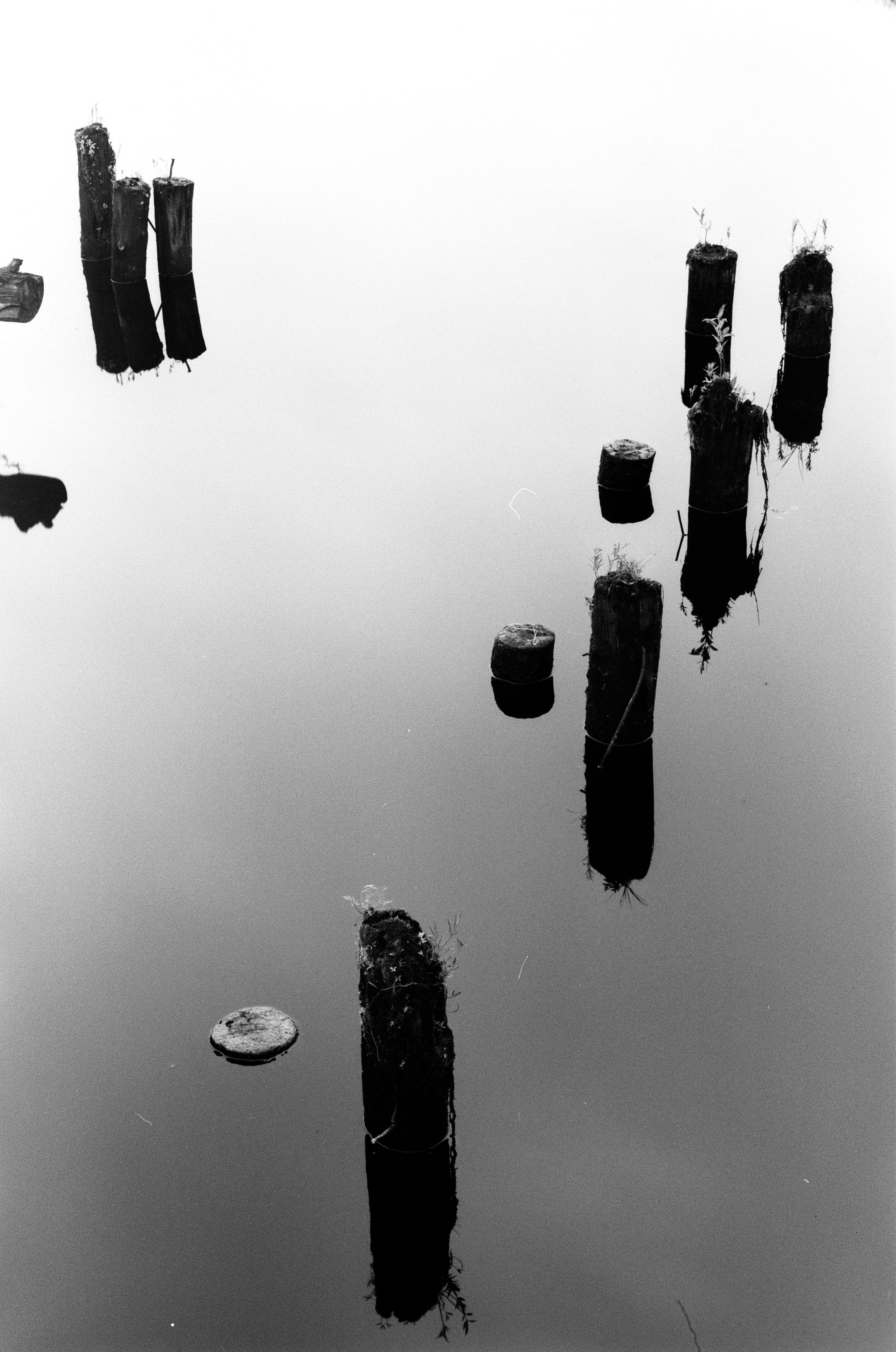Иконическое. Избранное. Бесценное. Punctum